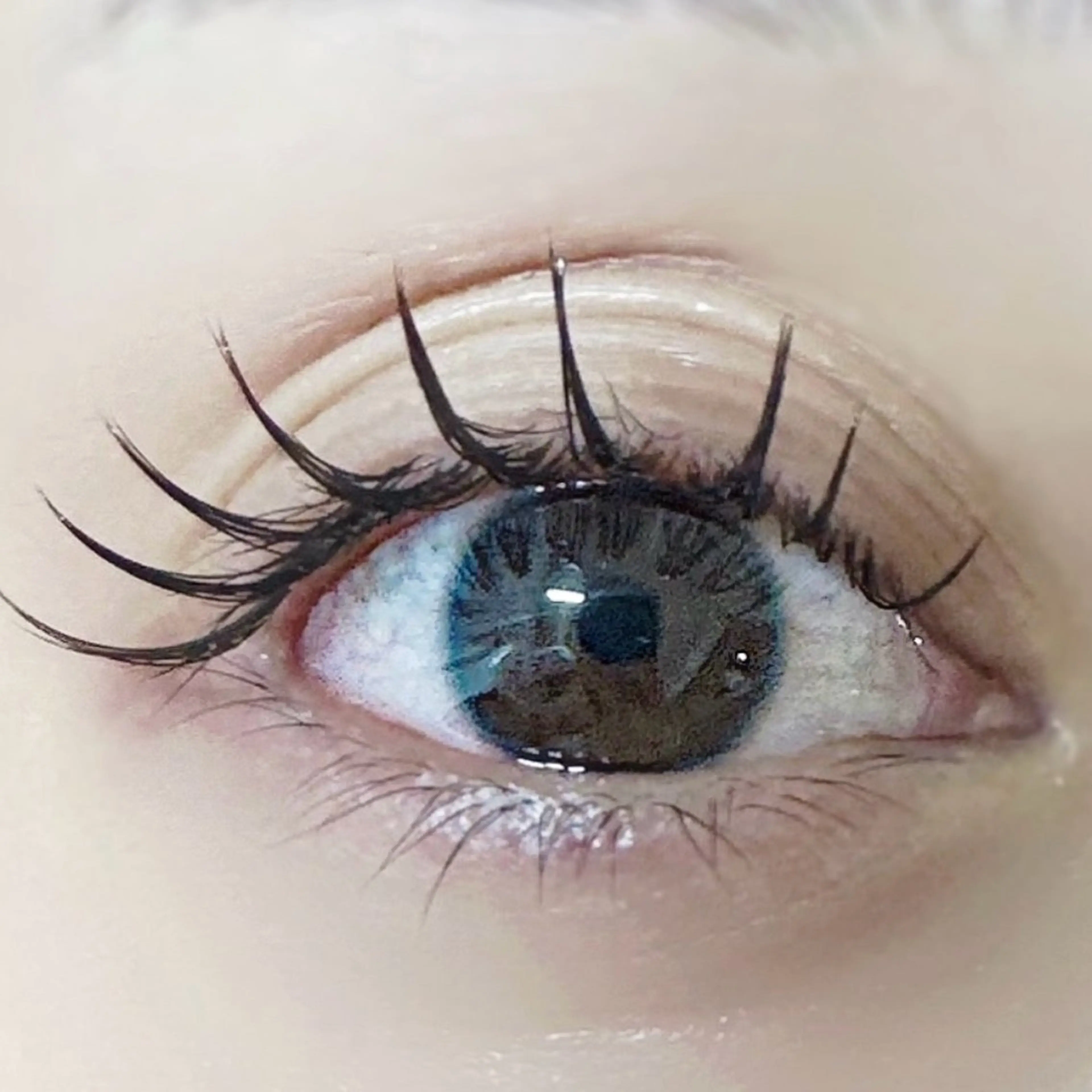 マツエク・マツパ Cカール カラーマツエク フラットラッシュ マツエク専門店 cyunaのマツエク・マツパデザイン