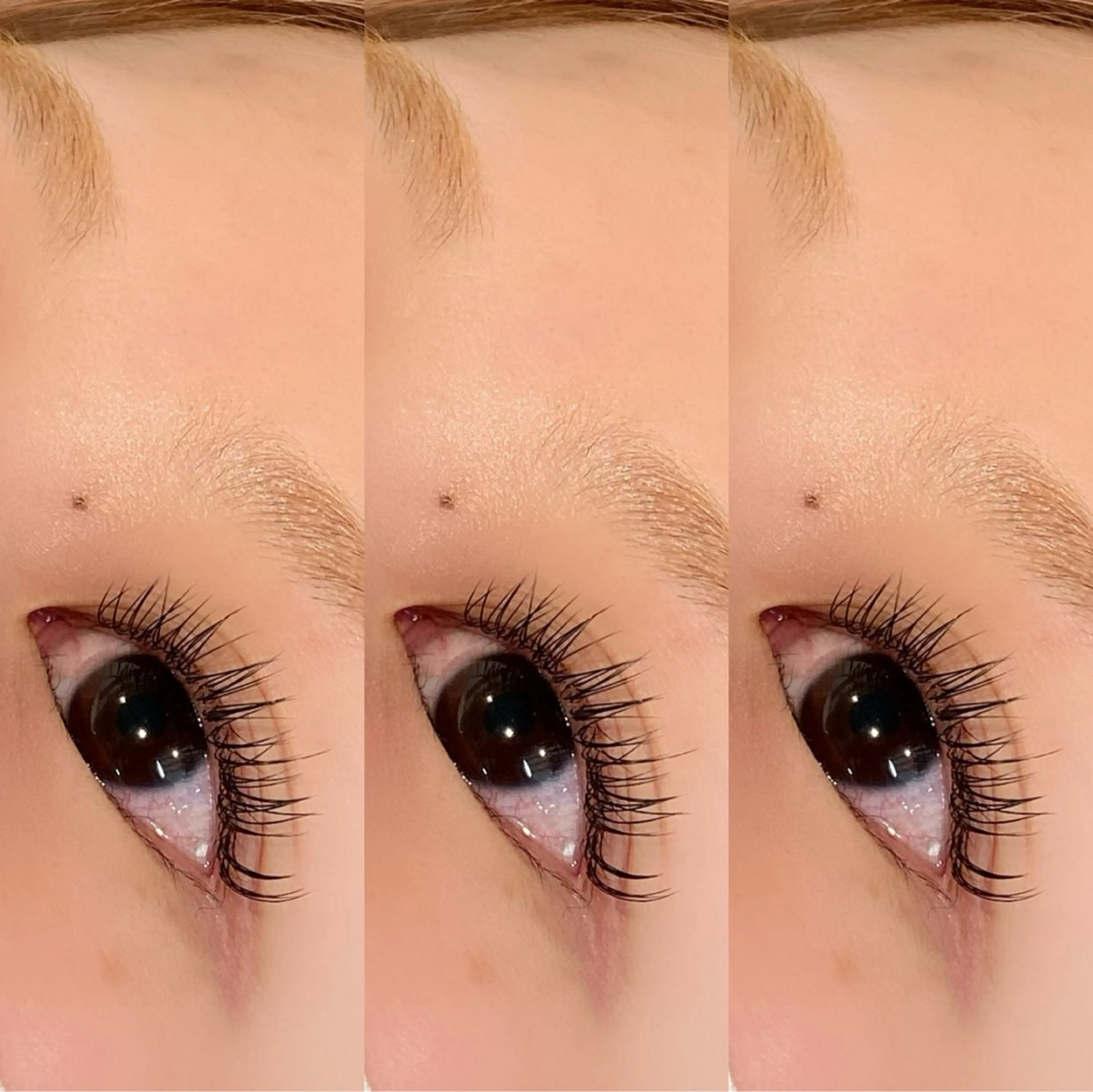 マツエク・マツパ Eyelash&Nail salon Rabbit+所属・🦋 杏 優 🦋のマツエク・マツパデザイン