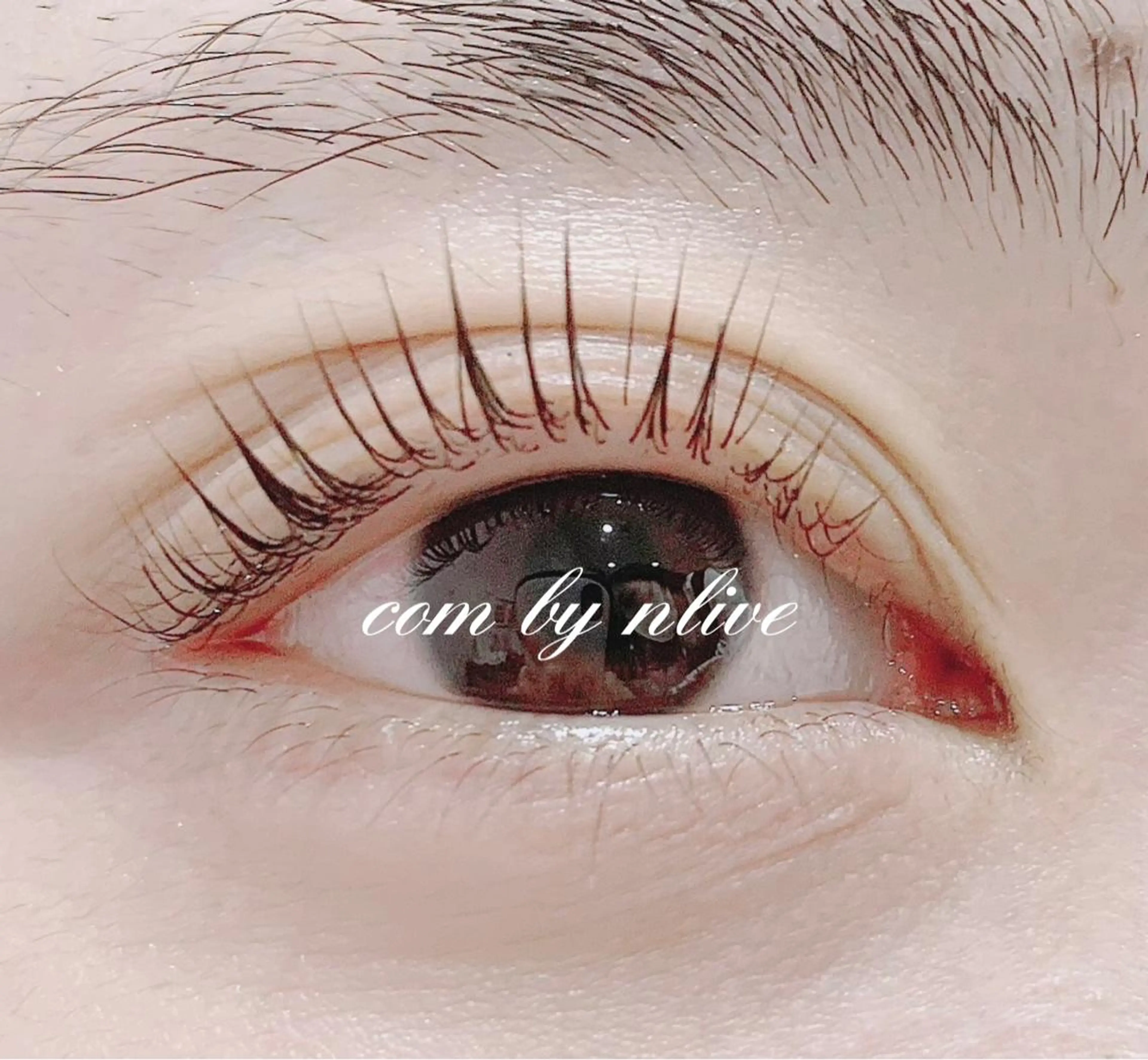 マツエク・マツパ パリジェンヌラッシュリフト 池袋駅韓国風🇰🇷 束感💗Tomoのマツエク・マツパデザイン