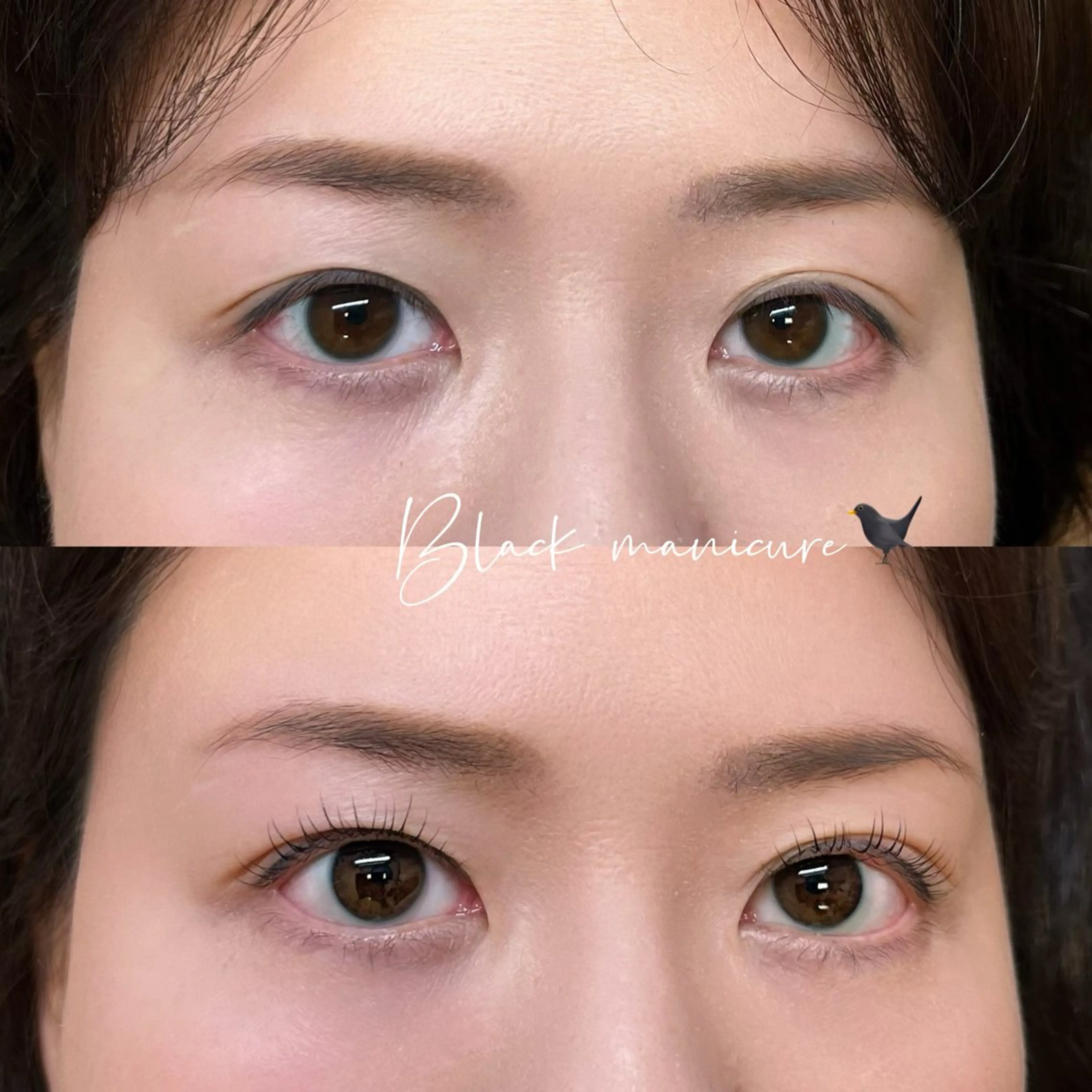 マツエク・マツパ LC【エルシー】伏見店所属・LC伏見店 吉村のマツエク・マツパデザイン