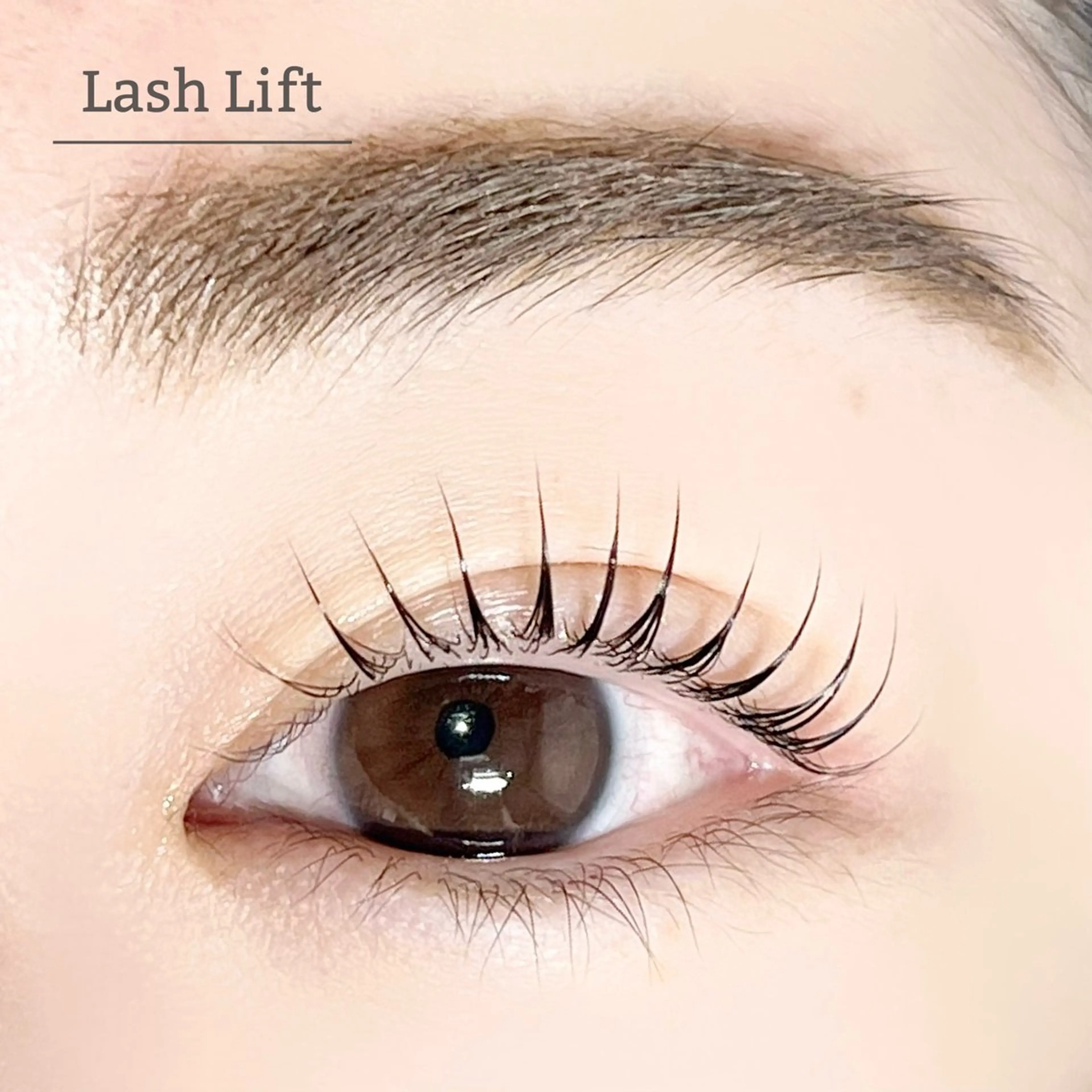 【組み合わせmenu🌸】パリジェンヌorラッシュリフト&ハリウッドブロウリフトの写真