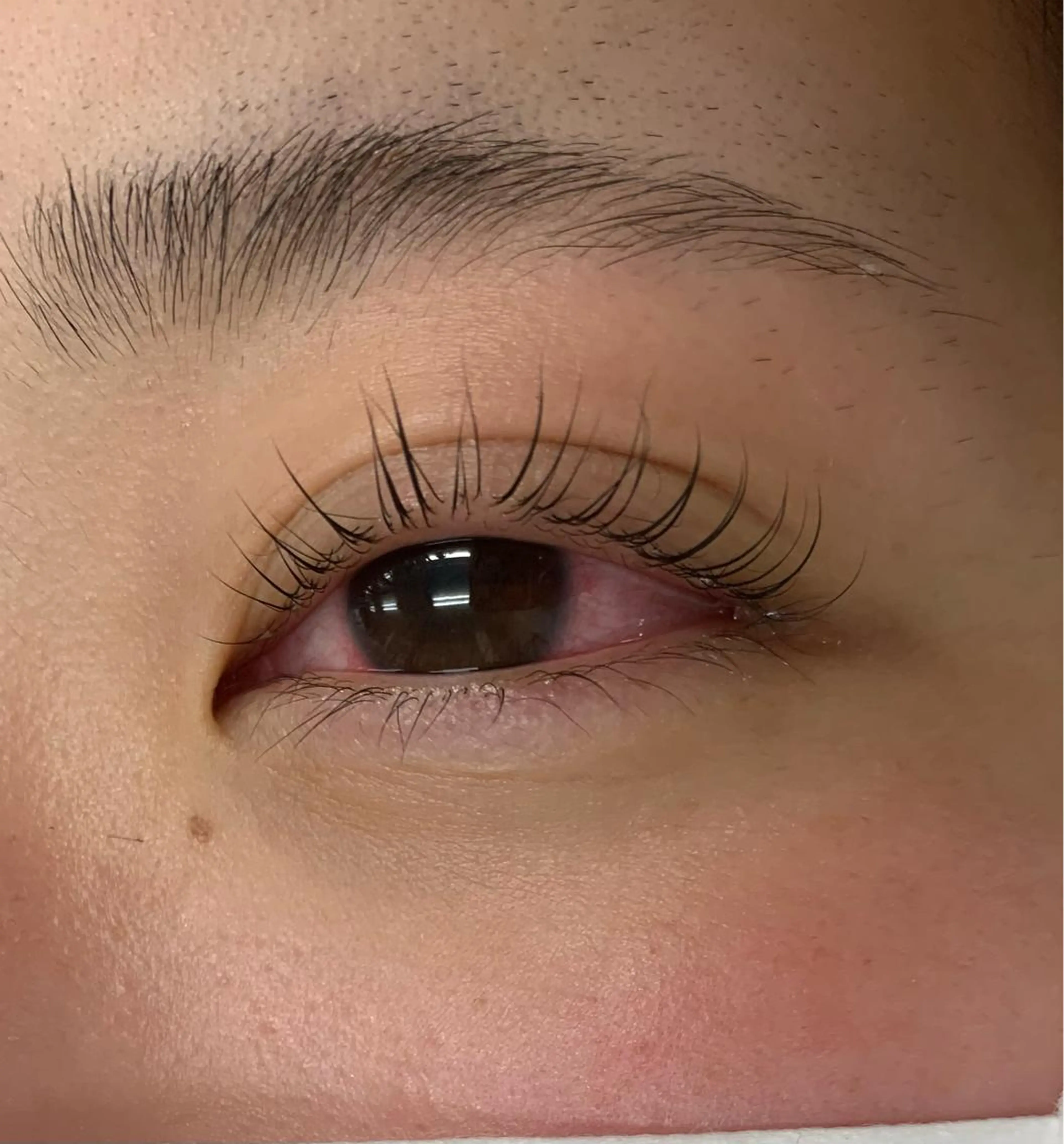 マツエク・マツパ shucre所属・奥村 実徳のマツエク・マツパデザイン