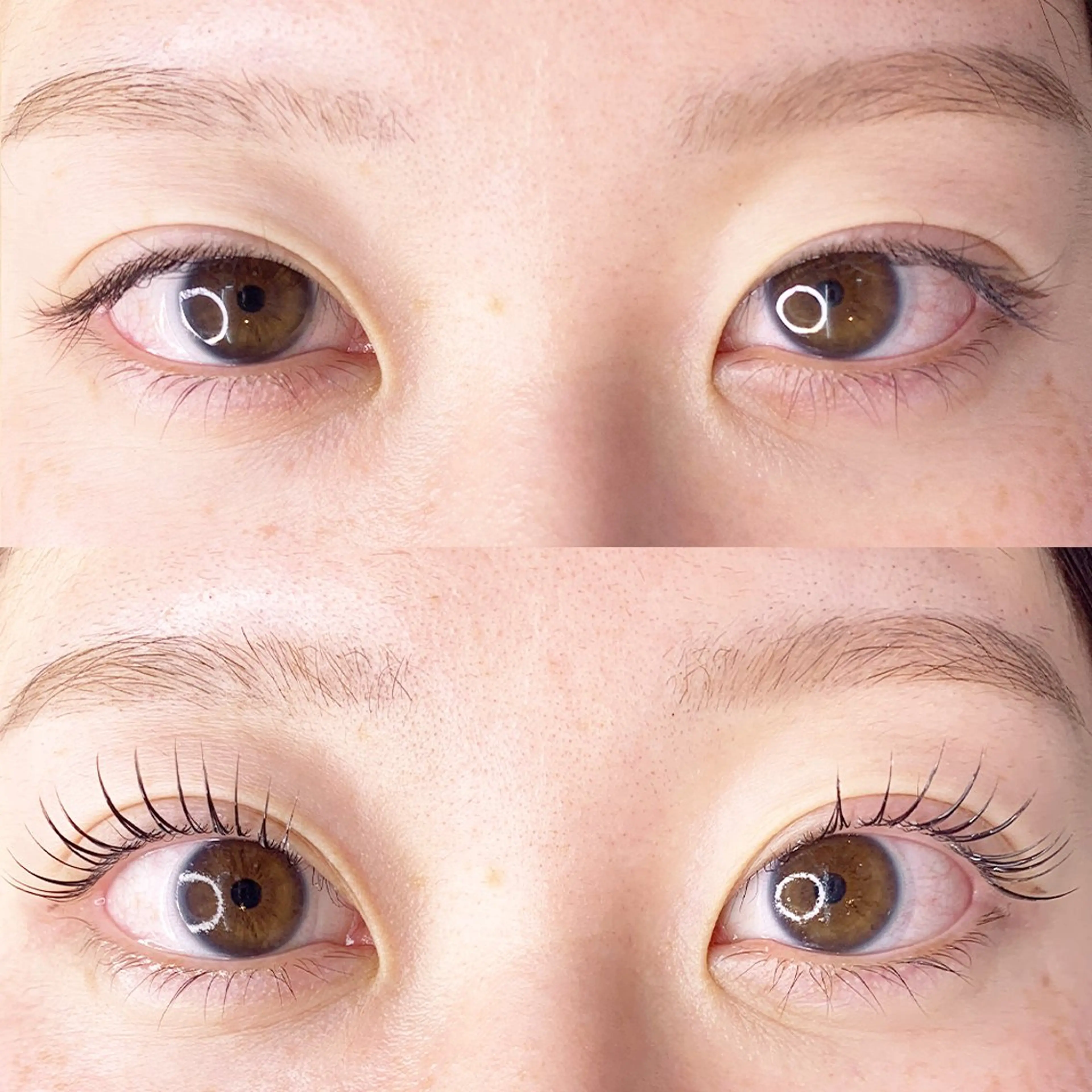 マツエク・マツパ PAPILLON YURI🫶のマツエク・マツパデザイン