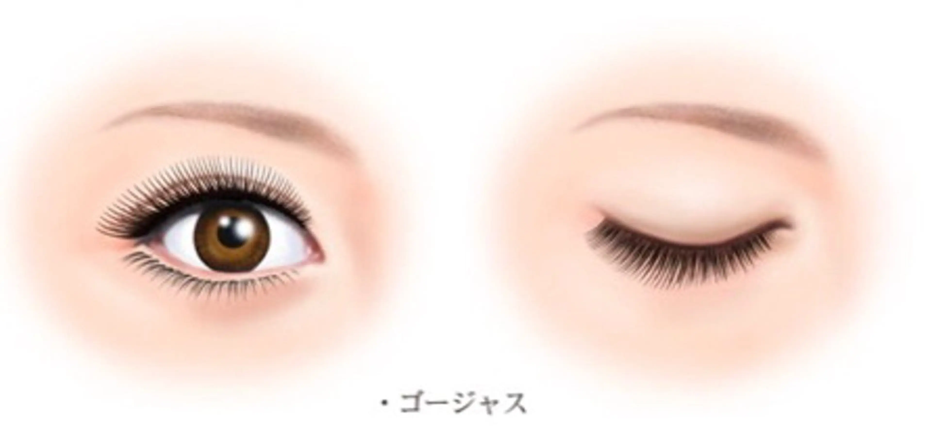 マツエク・マツパ マツエク Angela エステサロンのマツエク・マツパデザイン