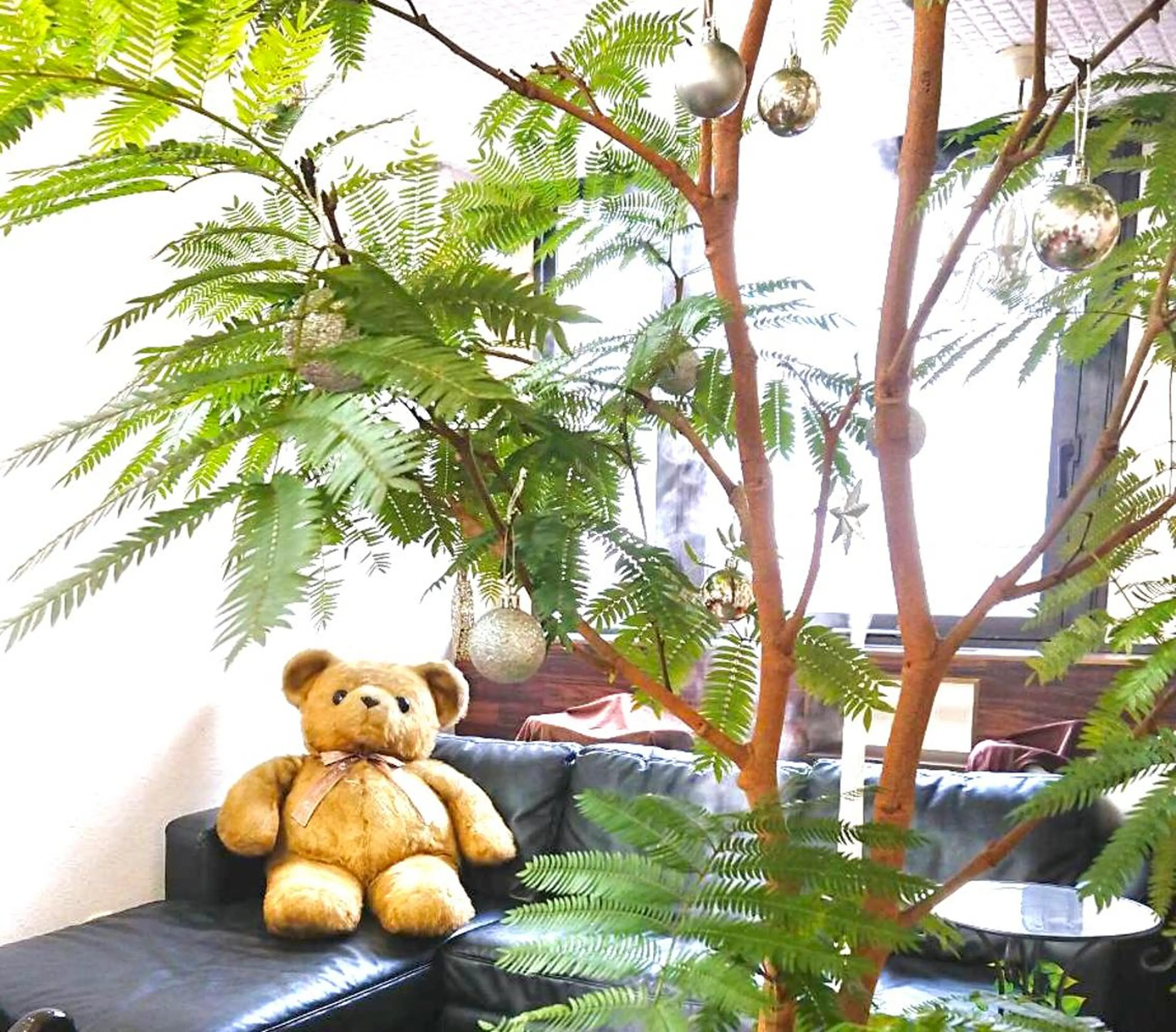 本通り店 ビーナスフォートのマツエク・マツパデザイン