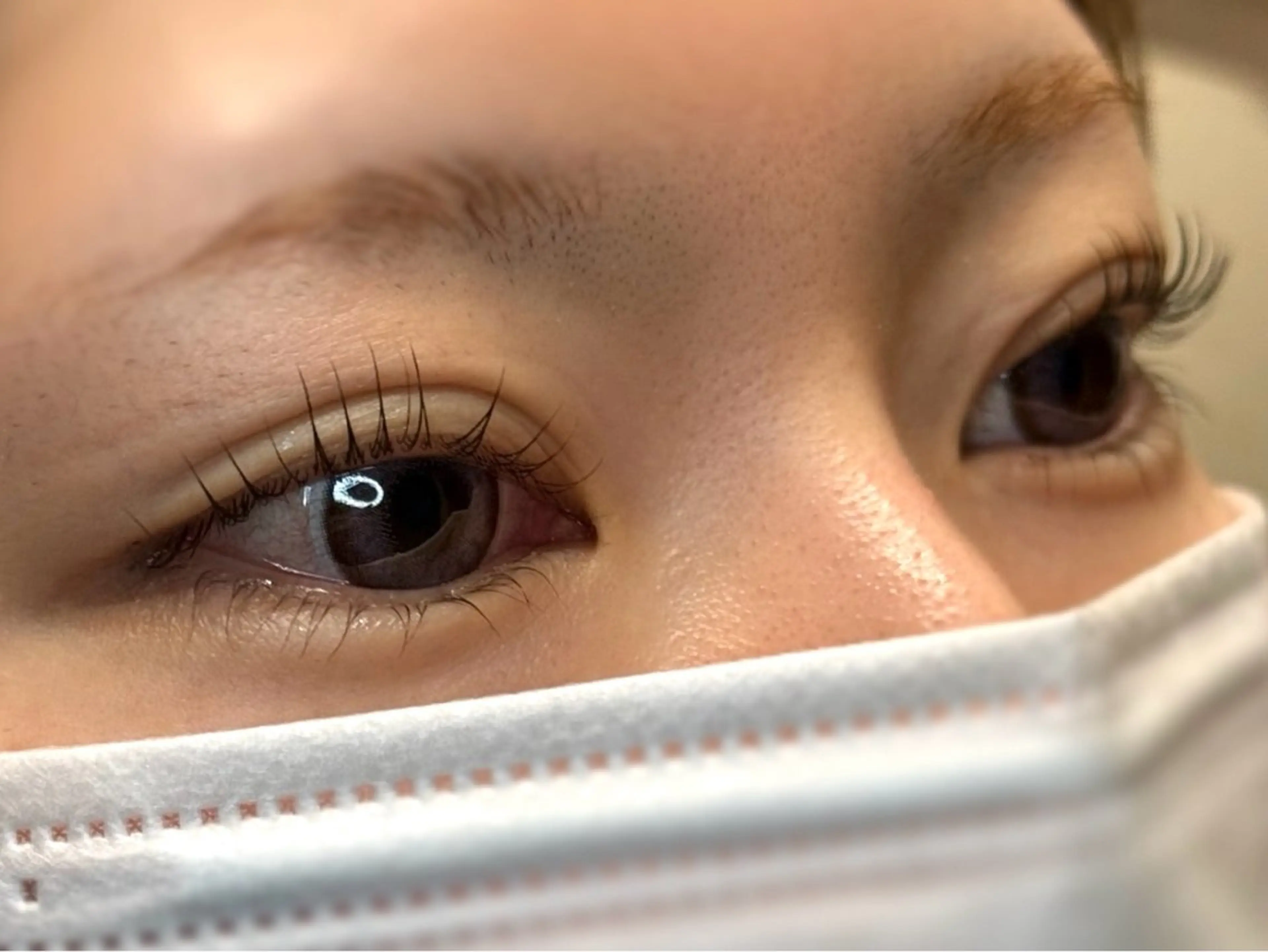 マツエク・マツパ 下まつげエクステ 一重×まつ毛パーマ マツパ GREEM eyelashの眉毛・アイブロウイメージ