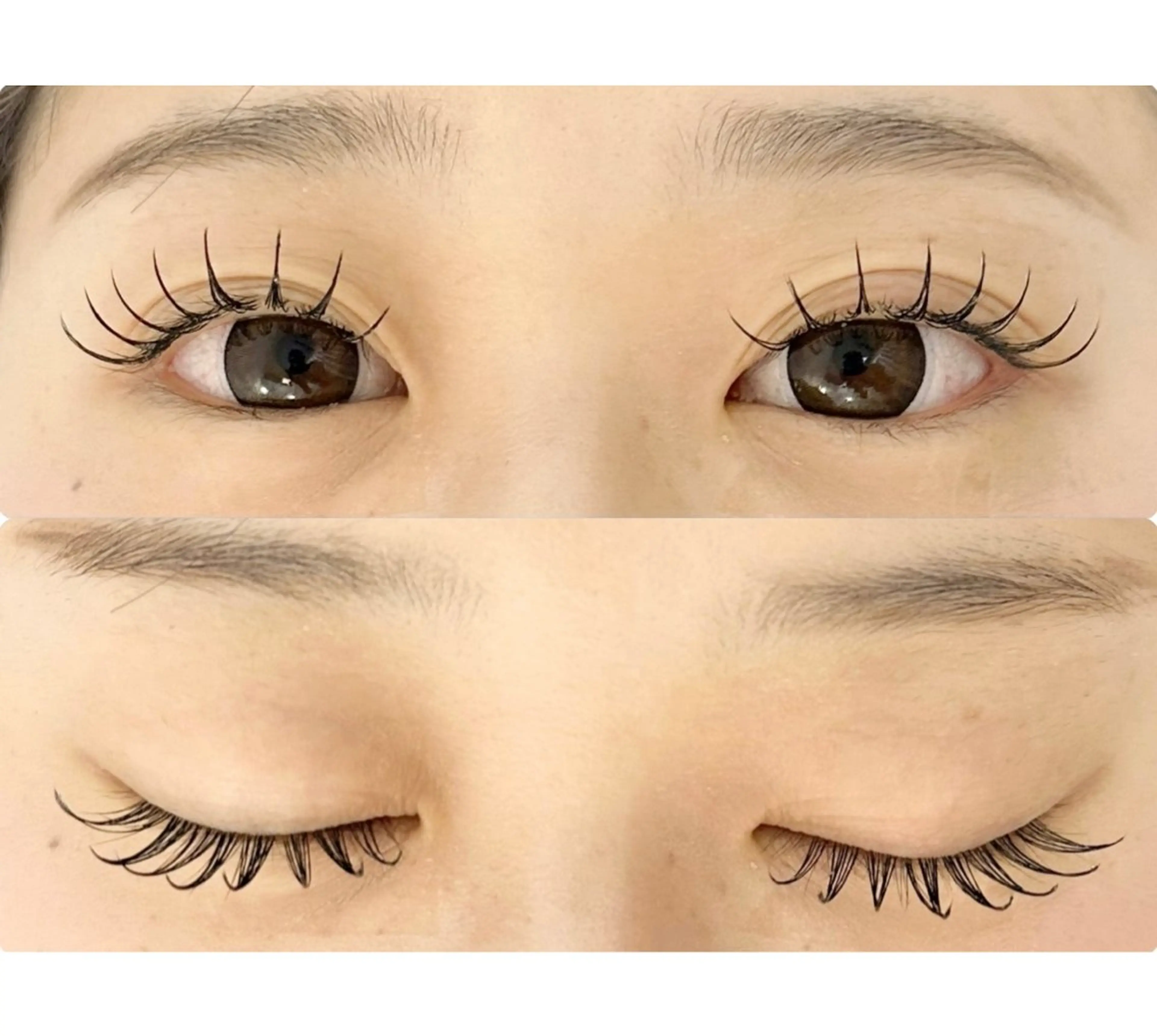 2回目のお客様限定〻フラットラッシュ120本(オフ可)の写真