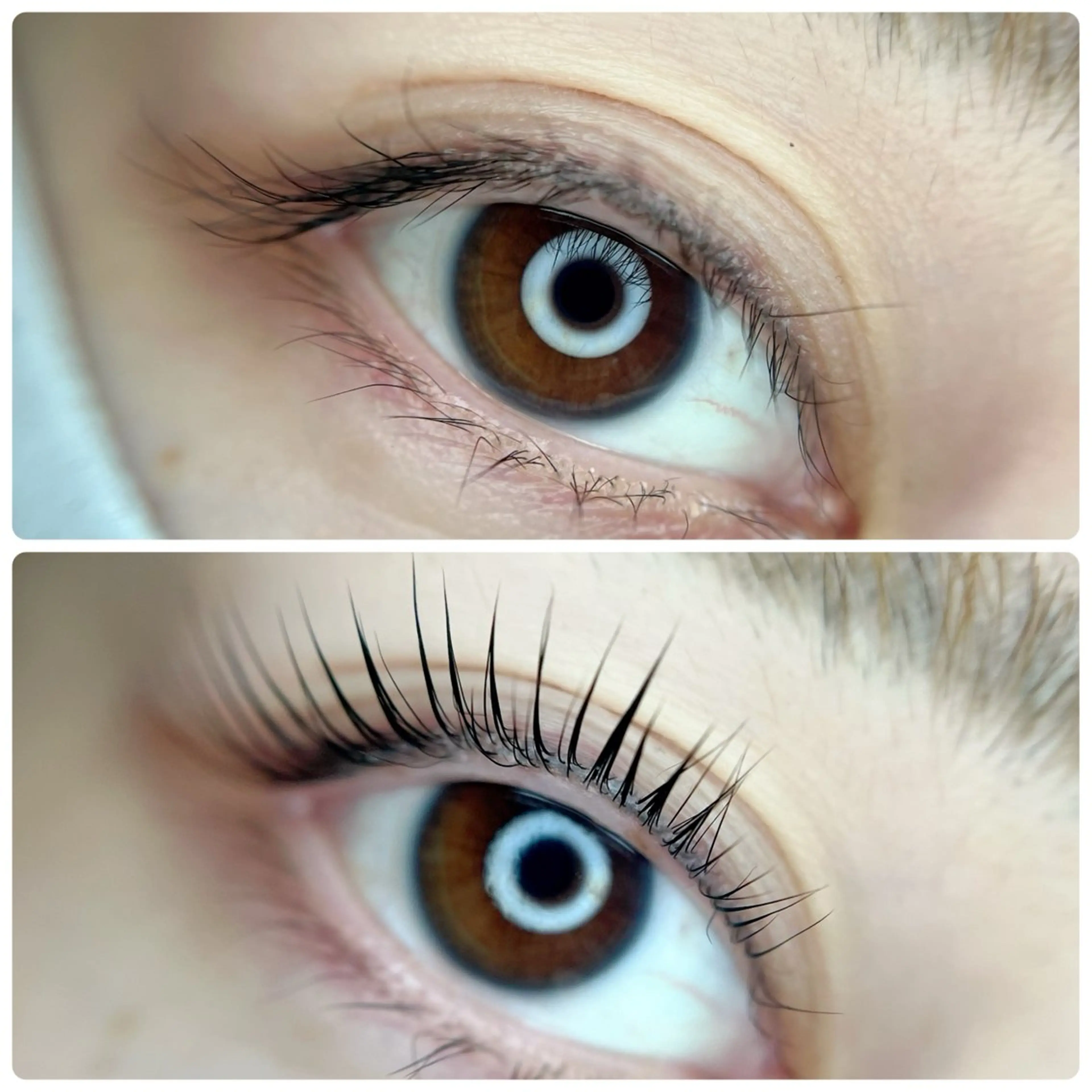 【落ちないブラックコーティング】まつ毛パーマ&LEDコーティングLCOATの写真