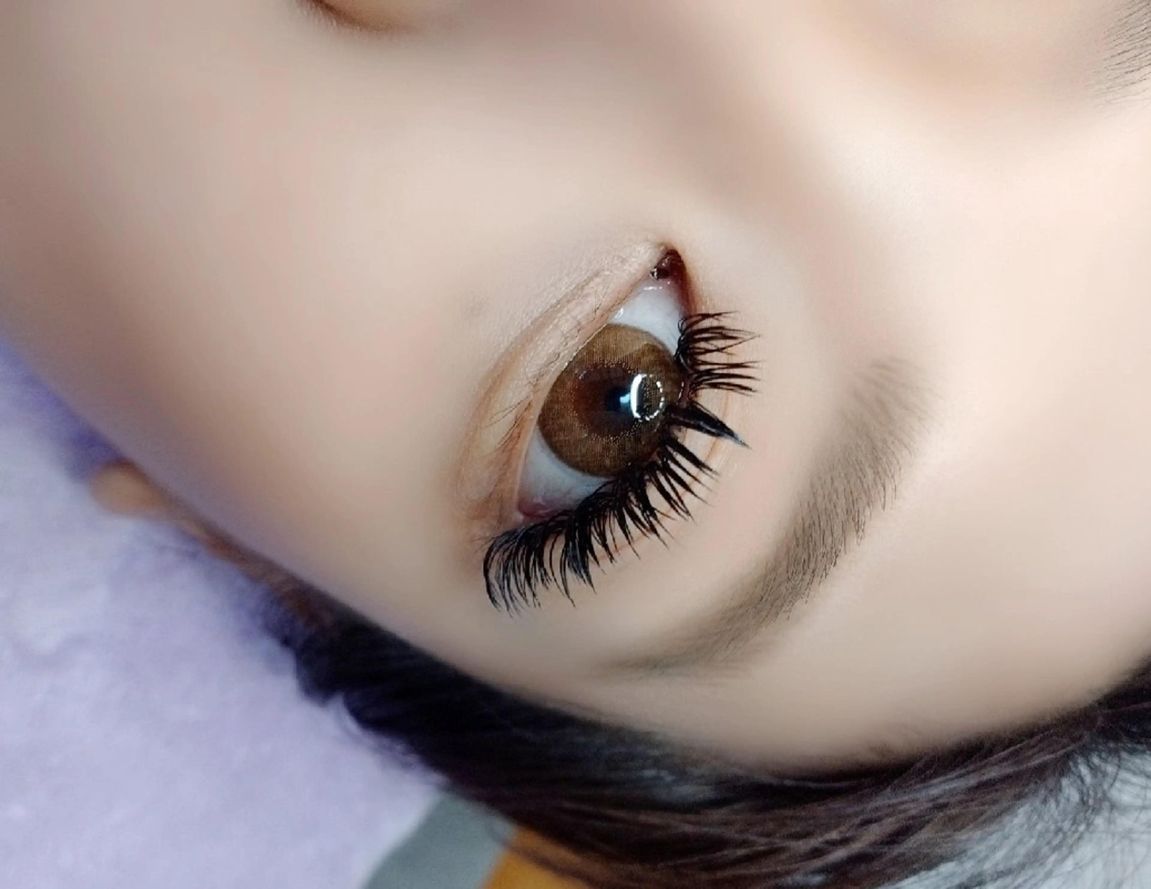 マツエク・マツパ マツエク maison calmeのマツエク・マツパデザイン