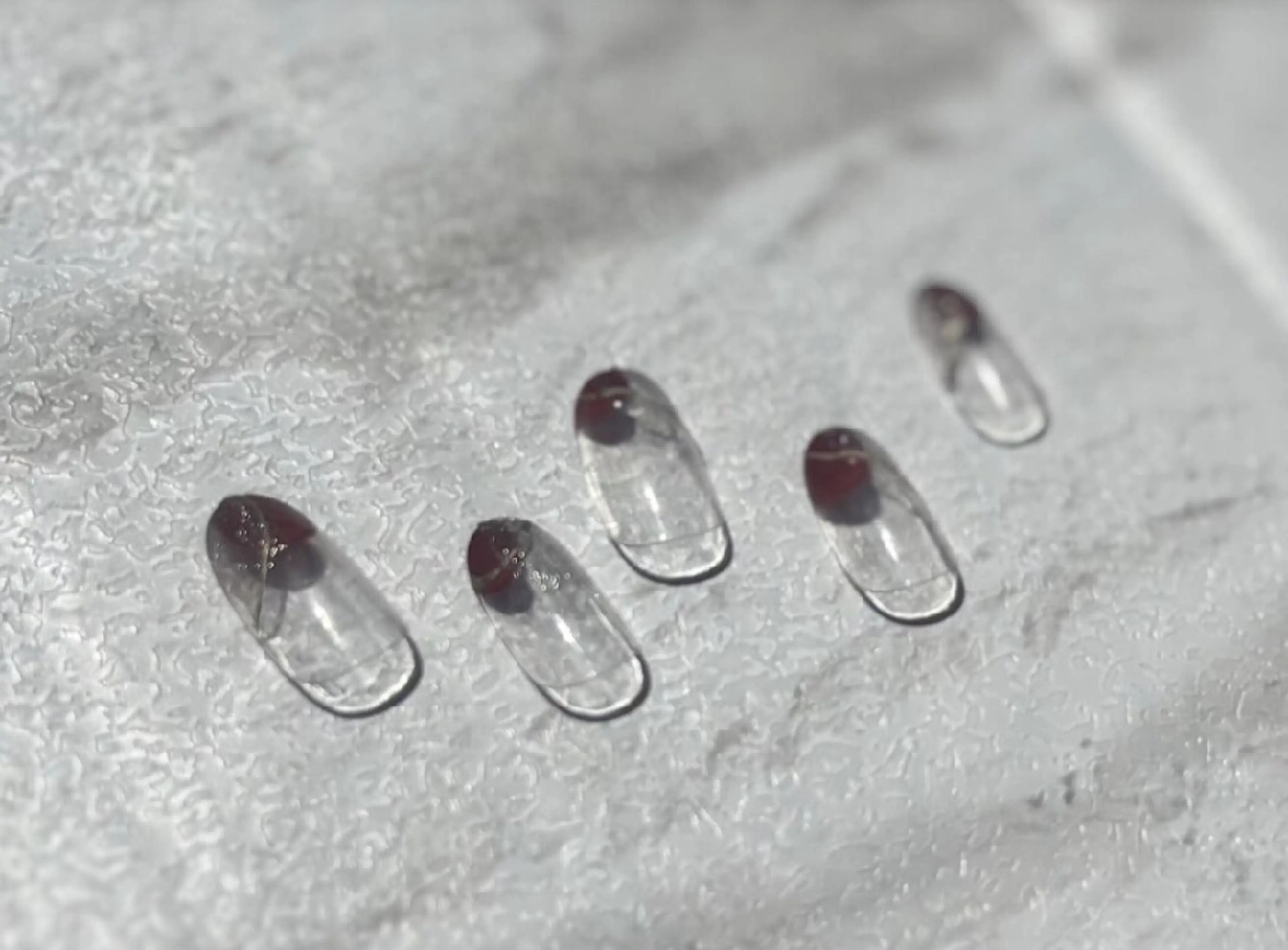 ネイル ハンドネイル aoyagi maiのネイルデザイン