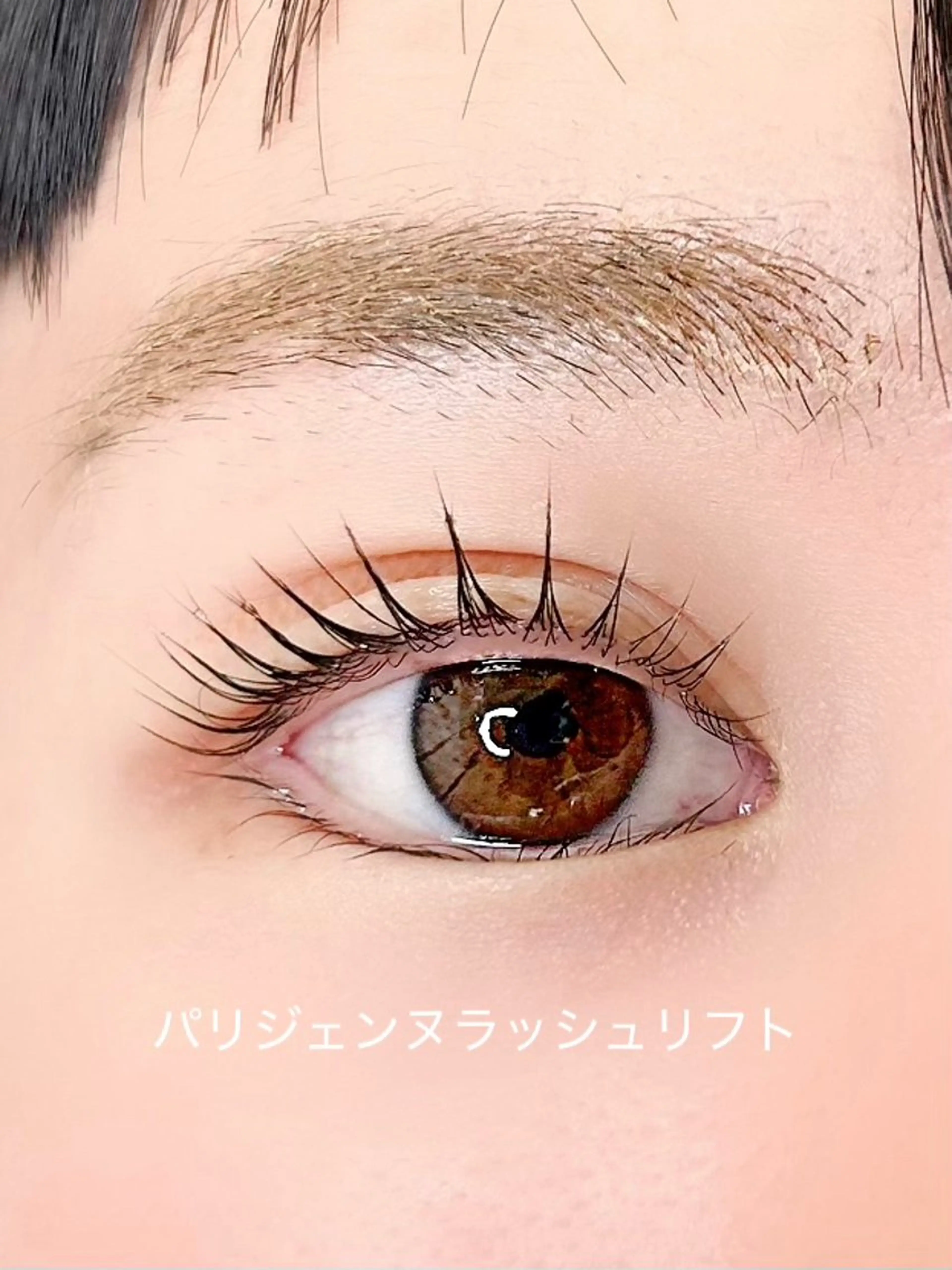 マツエク・マツパ パリジェンヌラッシュリフト マツパ elua eyelash所属・elua eyelashの眉毛・アイブロウイメージ