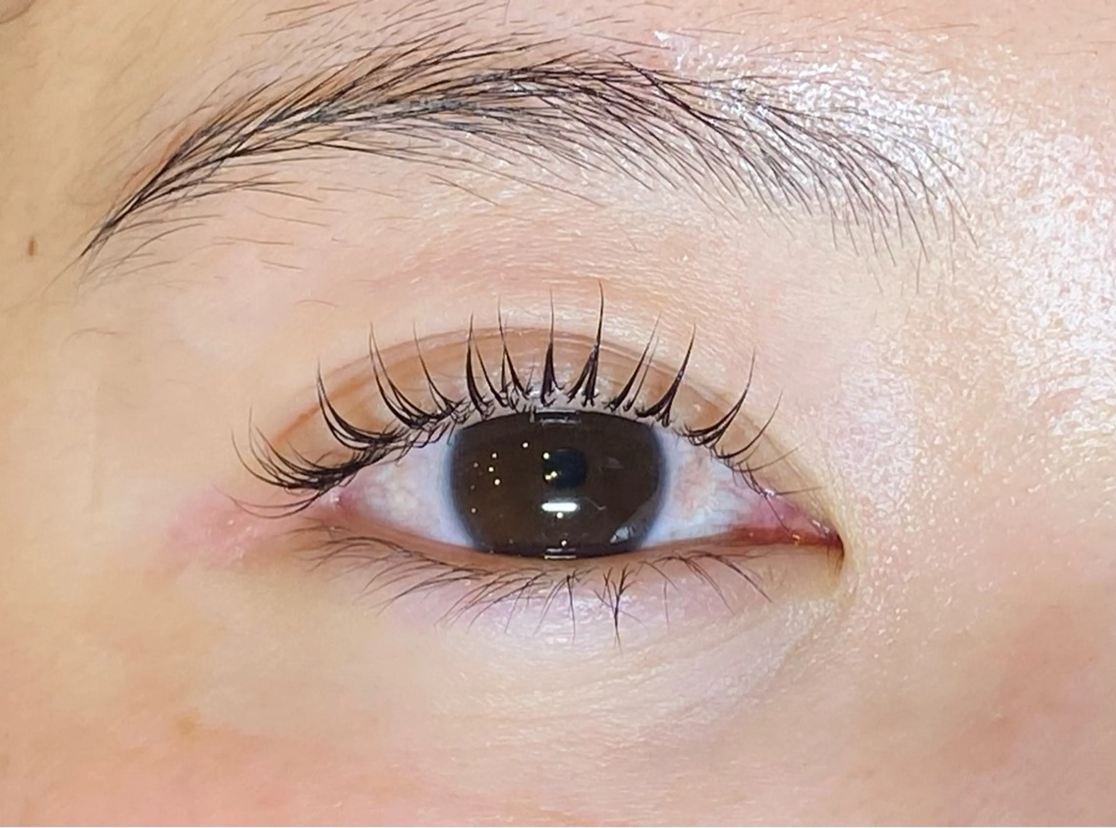 マツエク・マツパ Daisy lash 京橋店堀井のマツエク・マツパデザイン