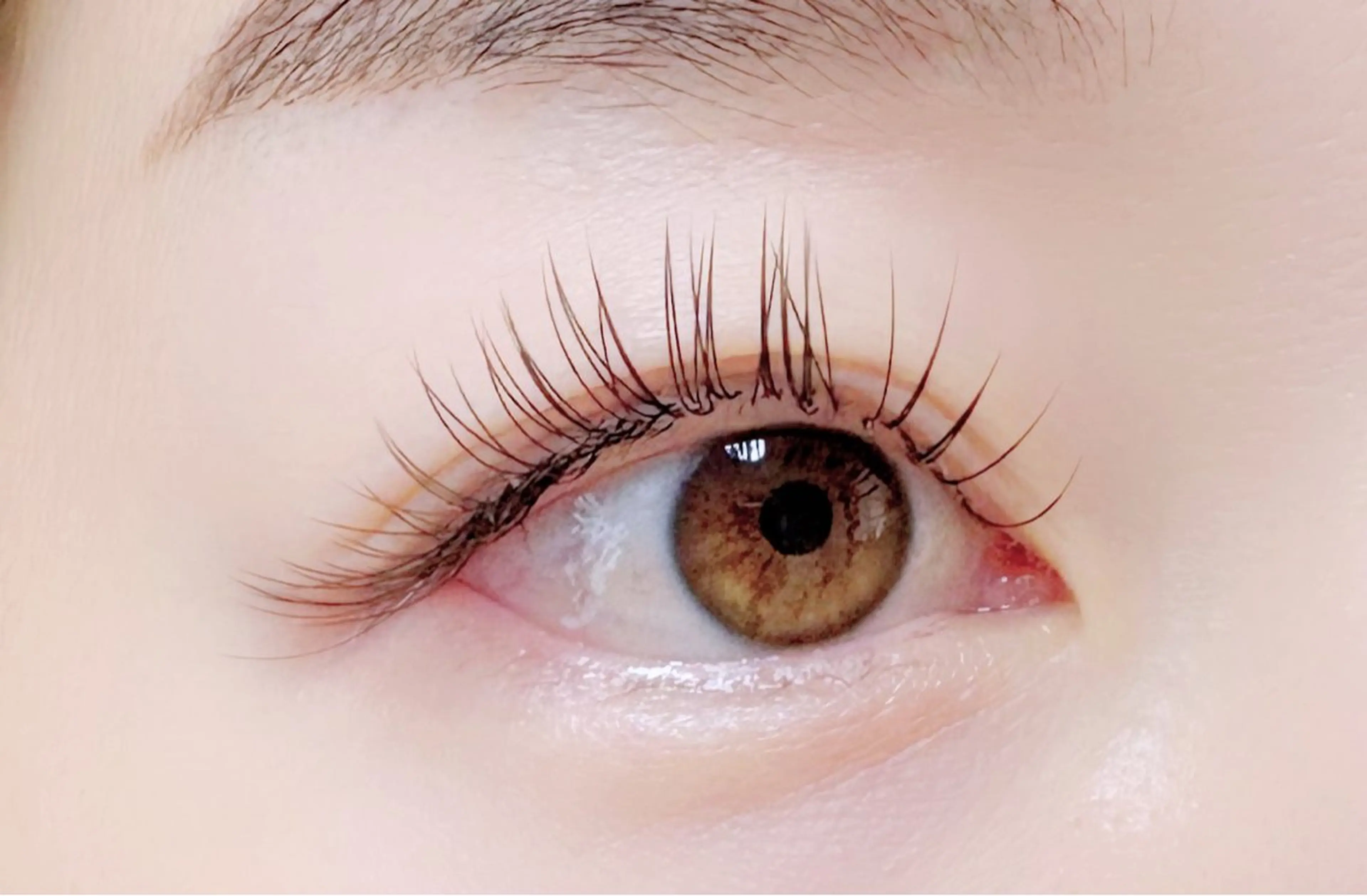 マツエク【フラットラッシュ】つけ放題(120本まで)の写真