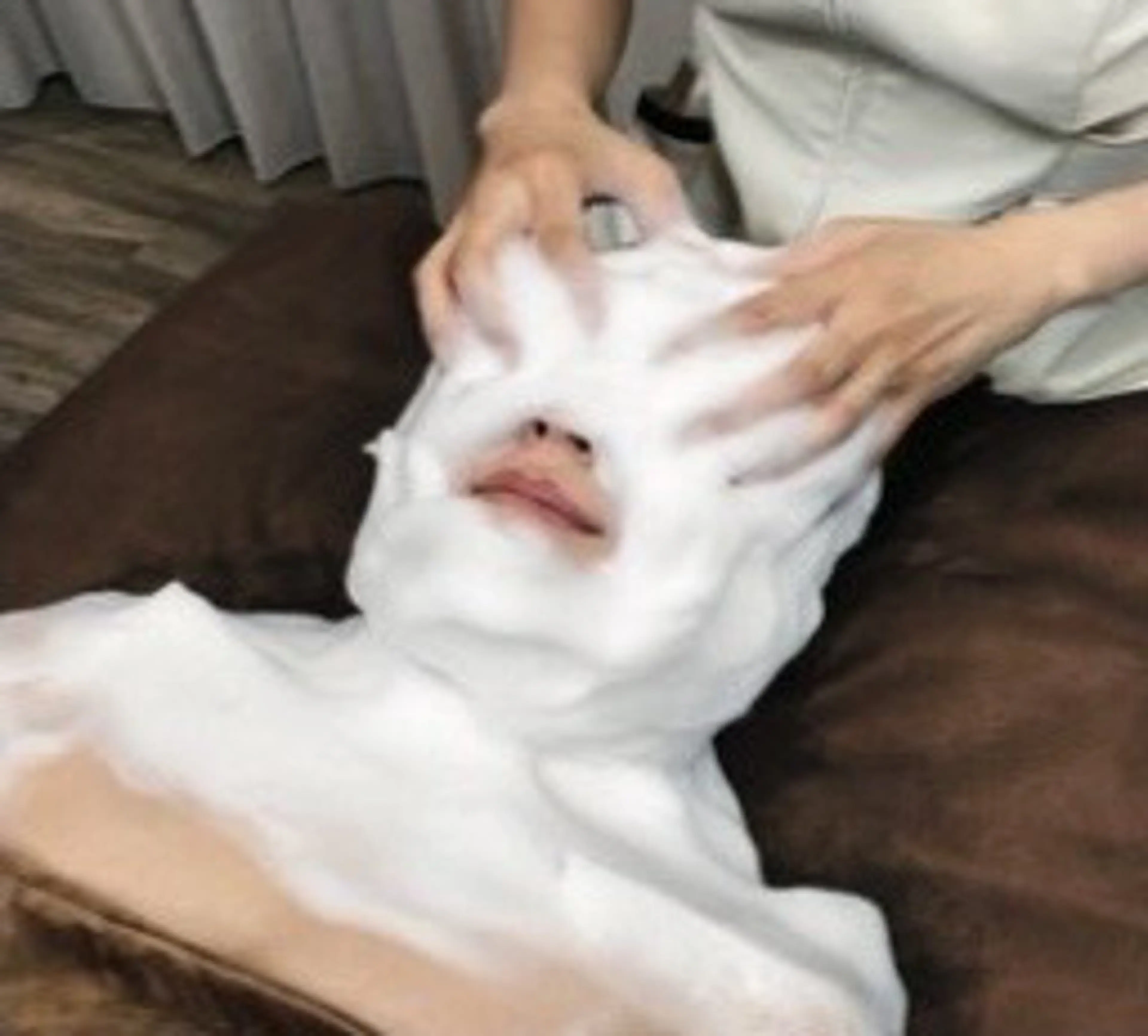 プロフィット・ホイップマスクの写真