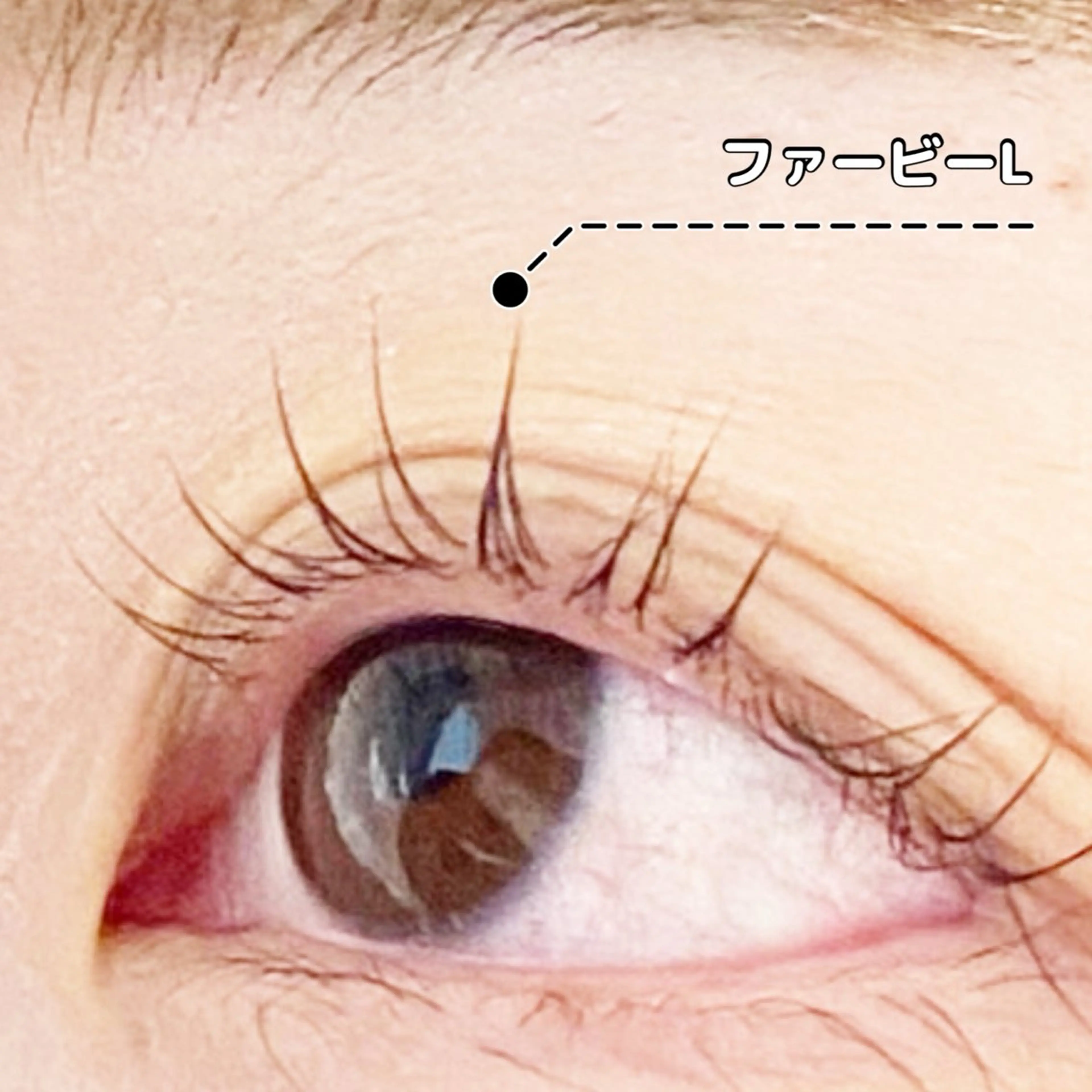 マツエク・マツパ LC尾張旭店所属・LC尾張旭店🫧 いしいのマツエク・マツパデザイン