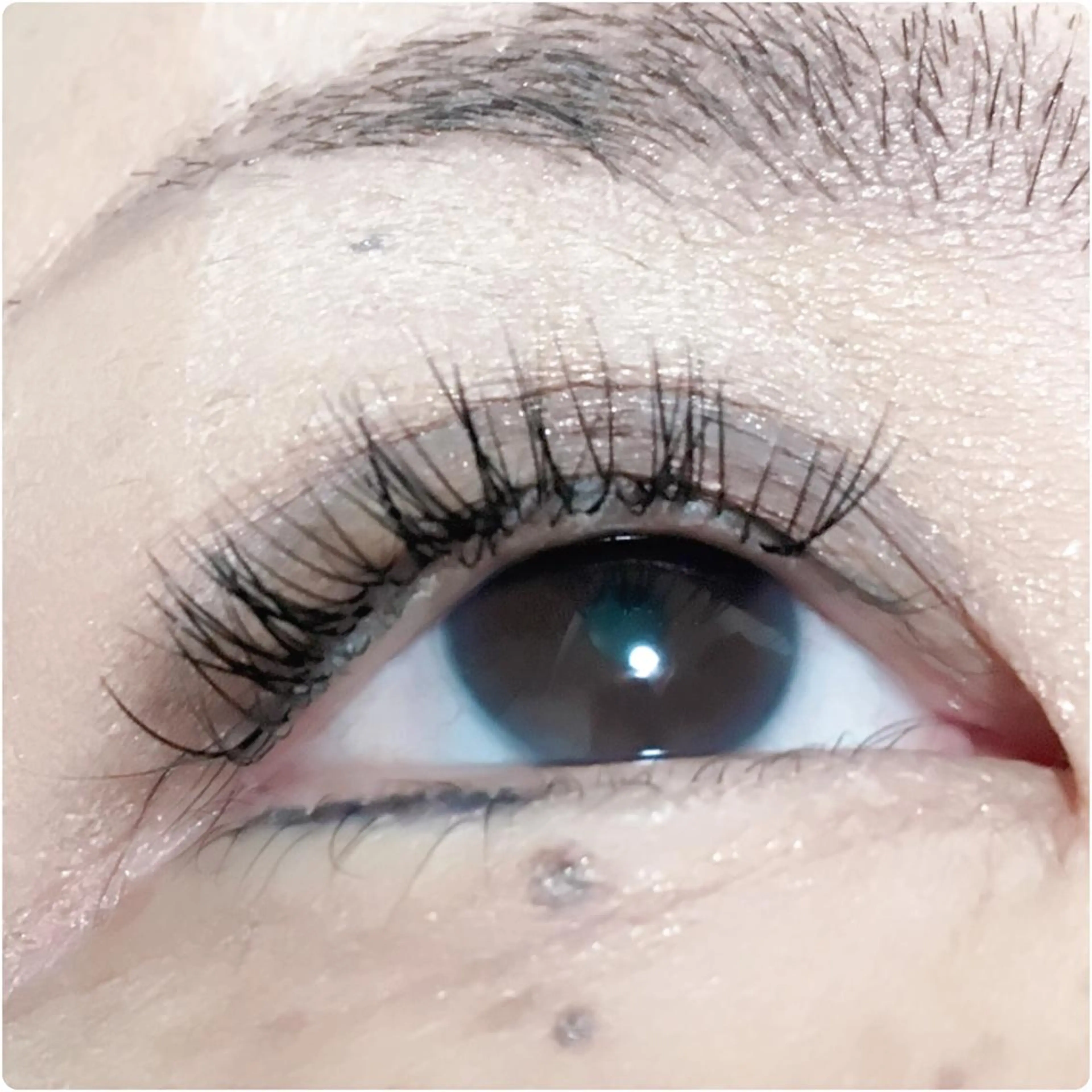 マツエク・マツパ キュート EyelashSalon Liz.&所属・Liz.&現ino 平田のマツエク・マツパデザイン