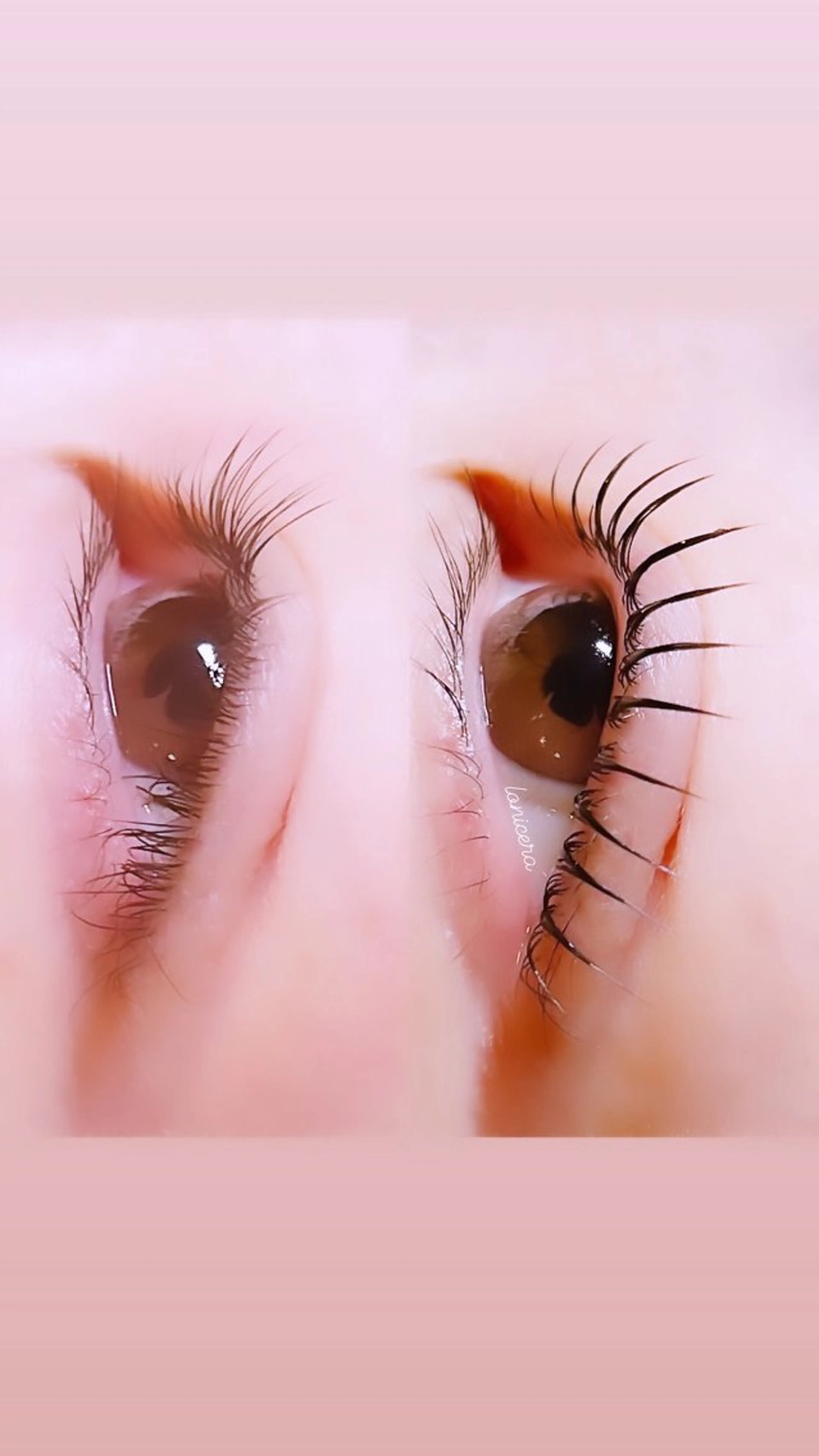 マツエク・マツパ ロニセラ アイラッシュのマツエク・マツパデザイン