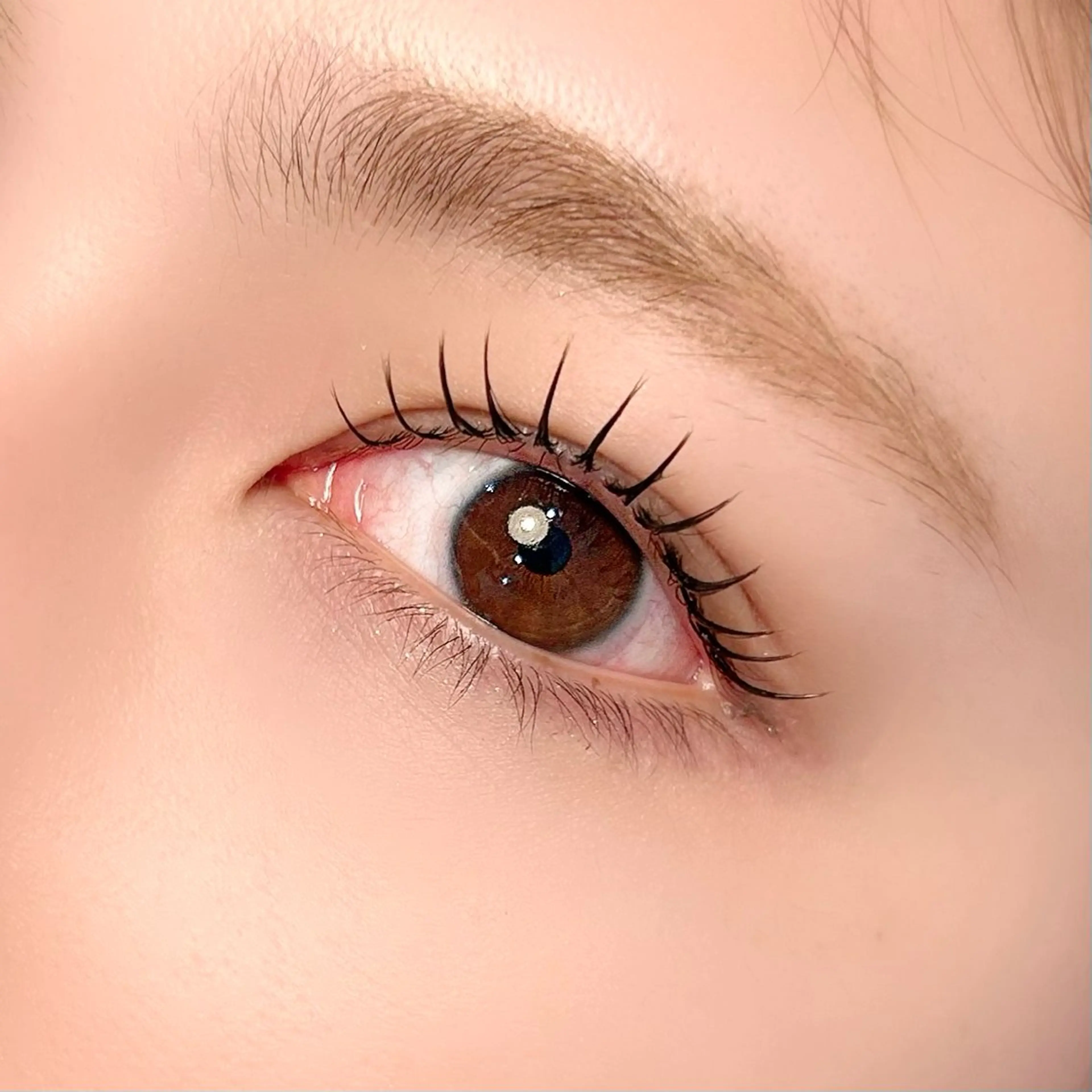 マツエク・マツパ マツエク eyelash NaO🦋のマツエク・マツパデザイン