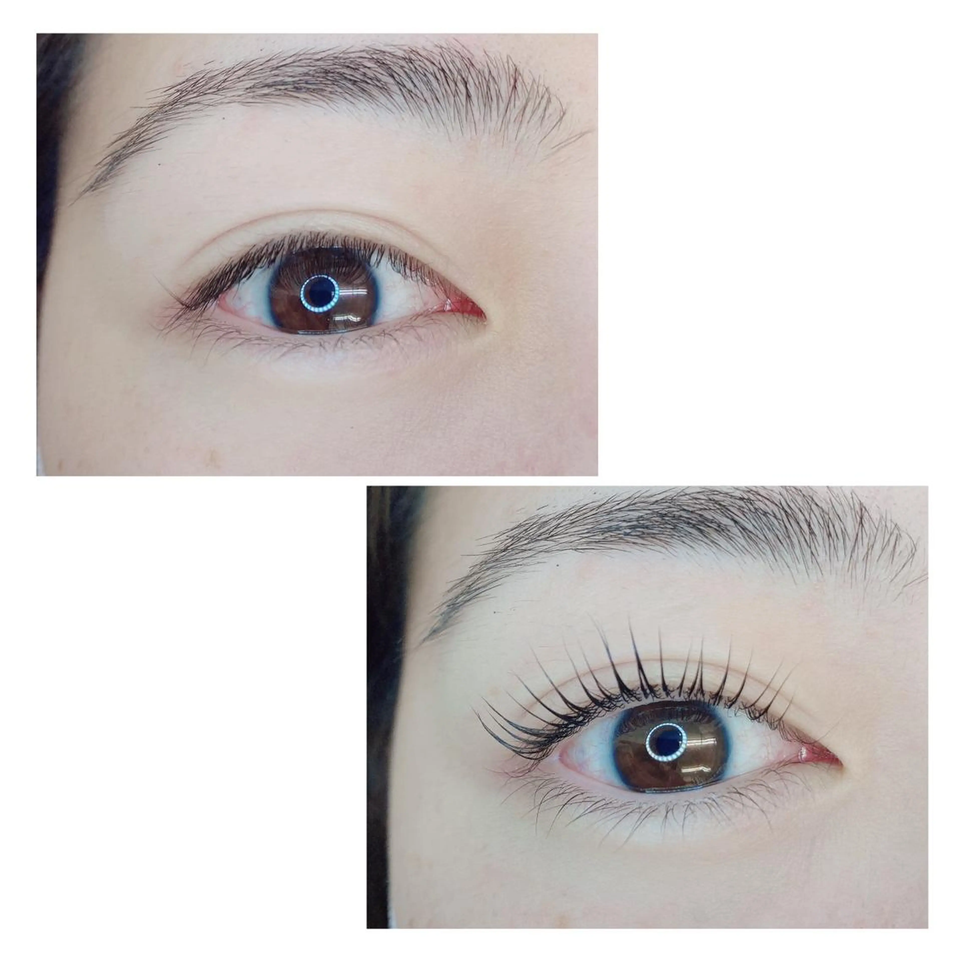 マツエク・マツパ TIARA池袋西口店 店長YASUKA💐のマツエク・マツパデザイン