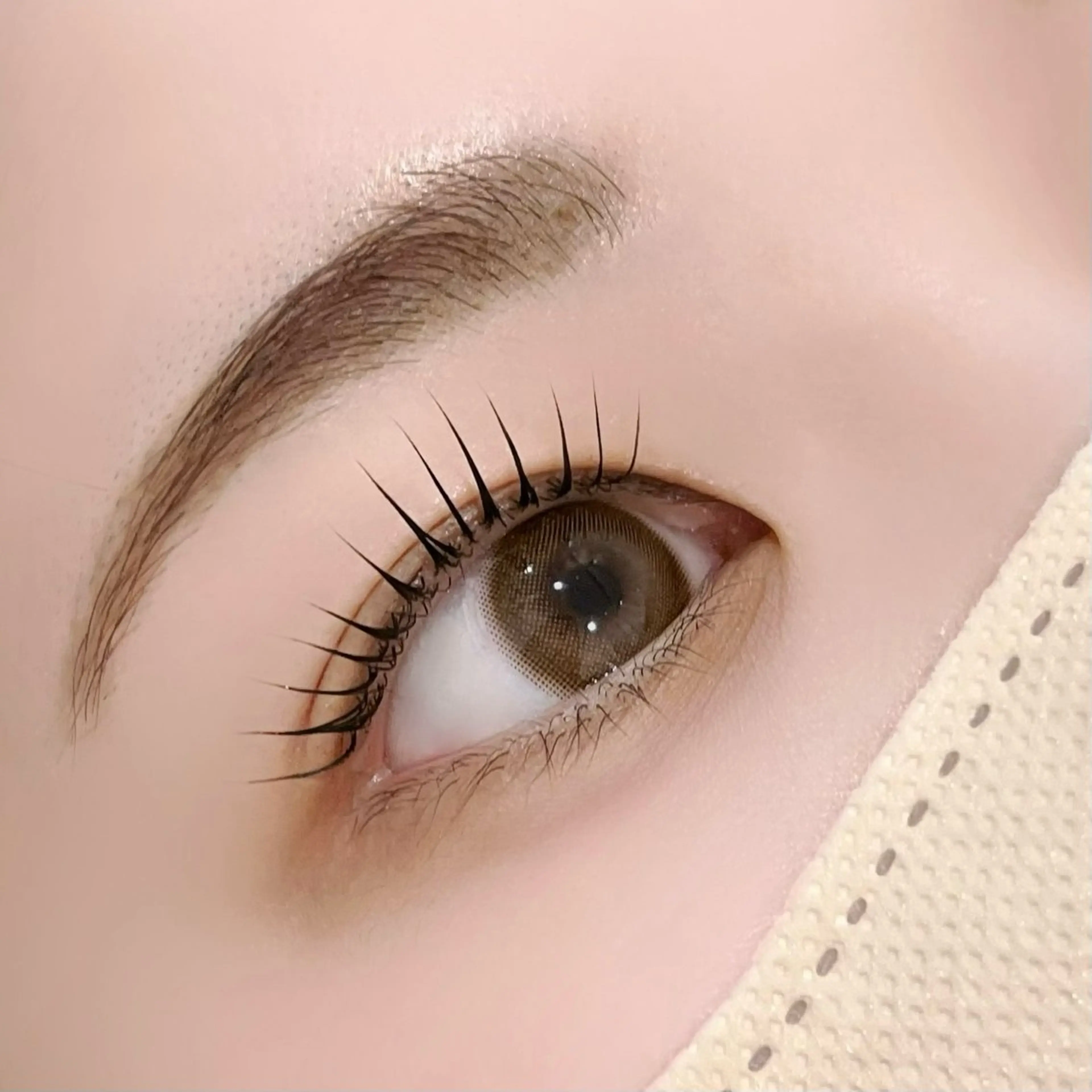 マツエク・マツパ パリジェンヌラッシュリフト sofa￤束感まつ毛 Rena🏹のマツエク・マツパデザイン