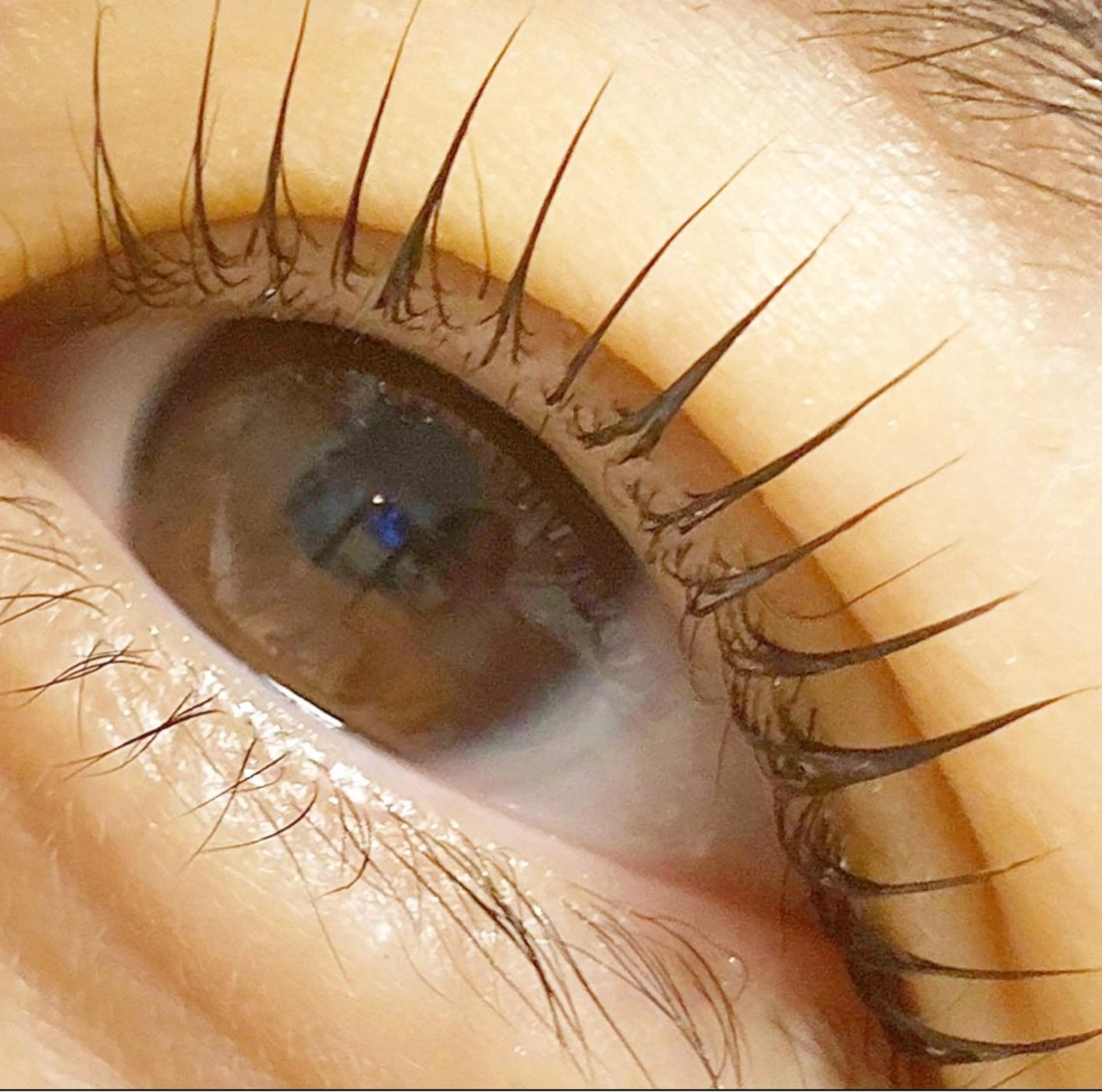 マツエク・マツパ 一重×まつ毛パーマ マツパ Anela Beauty Salon所属・Anela 博多/春吉のマツエク・マツパデザイン