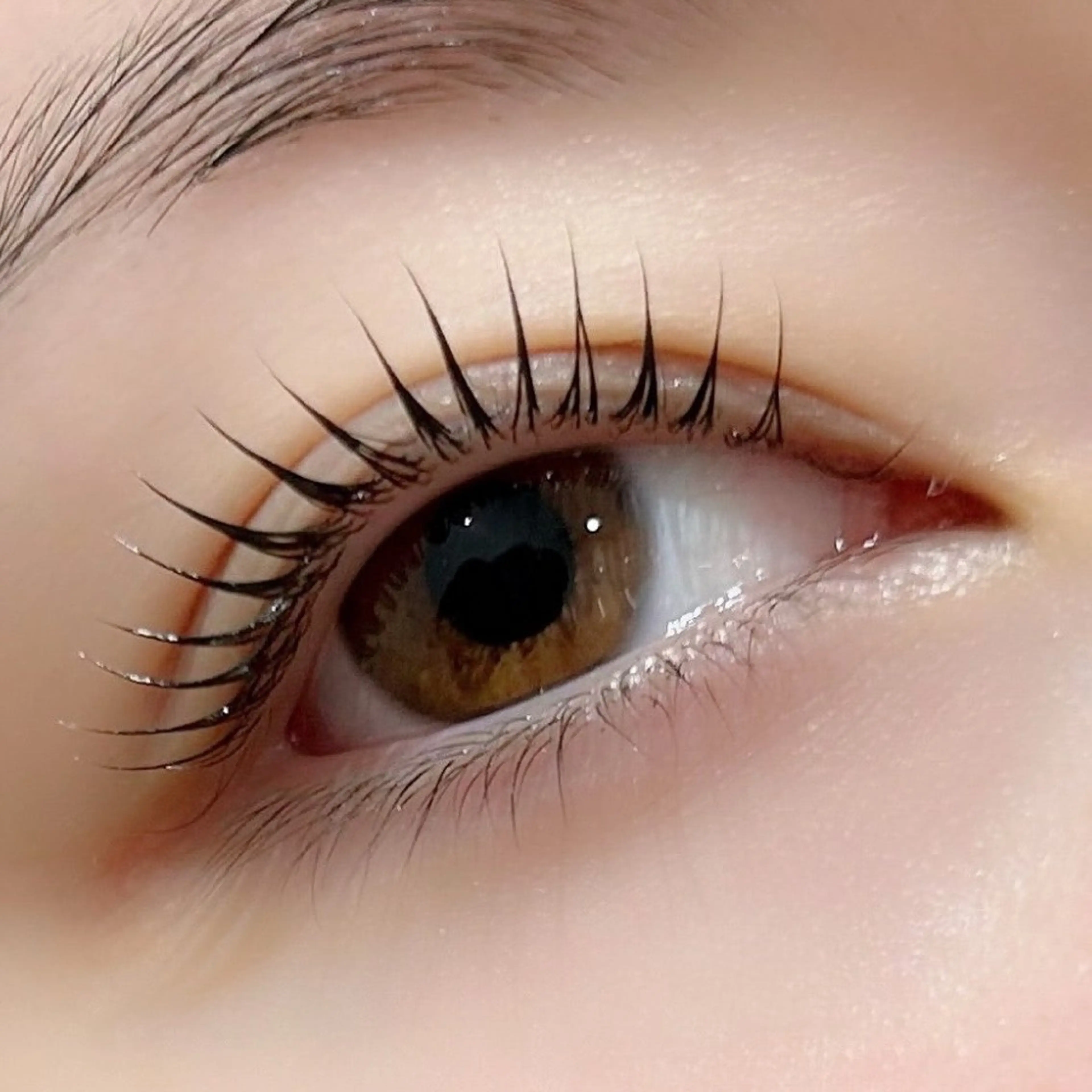 マツエク・マツパ マツパ 京橋/束感まつ毛& LED🦋藤本加奈のマツエク・マツパデザイン