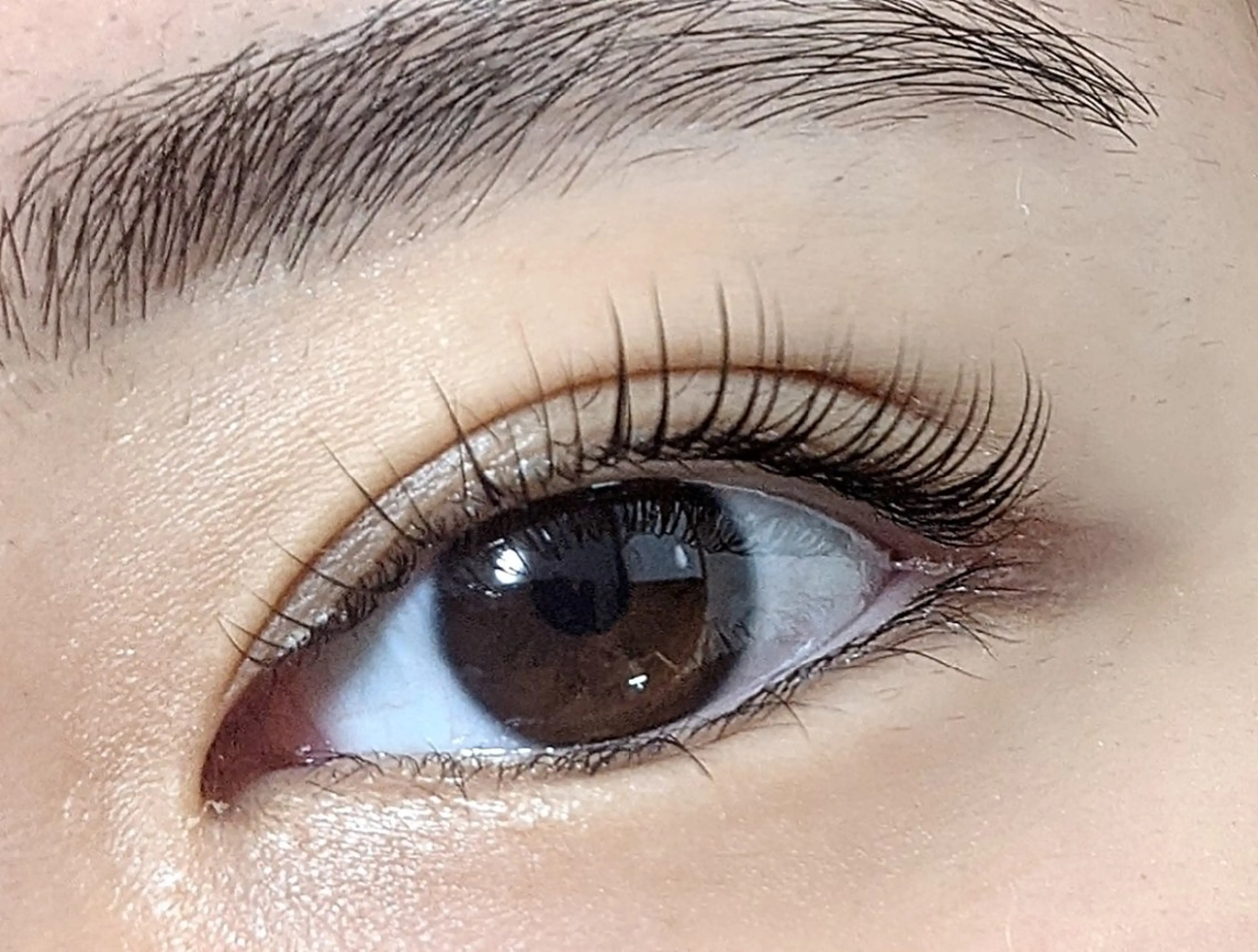 【人気No1】次世代ラッシュリフトカール ・パリジェンヌラッシュリフトの写真