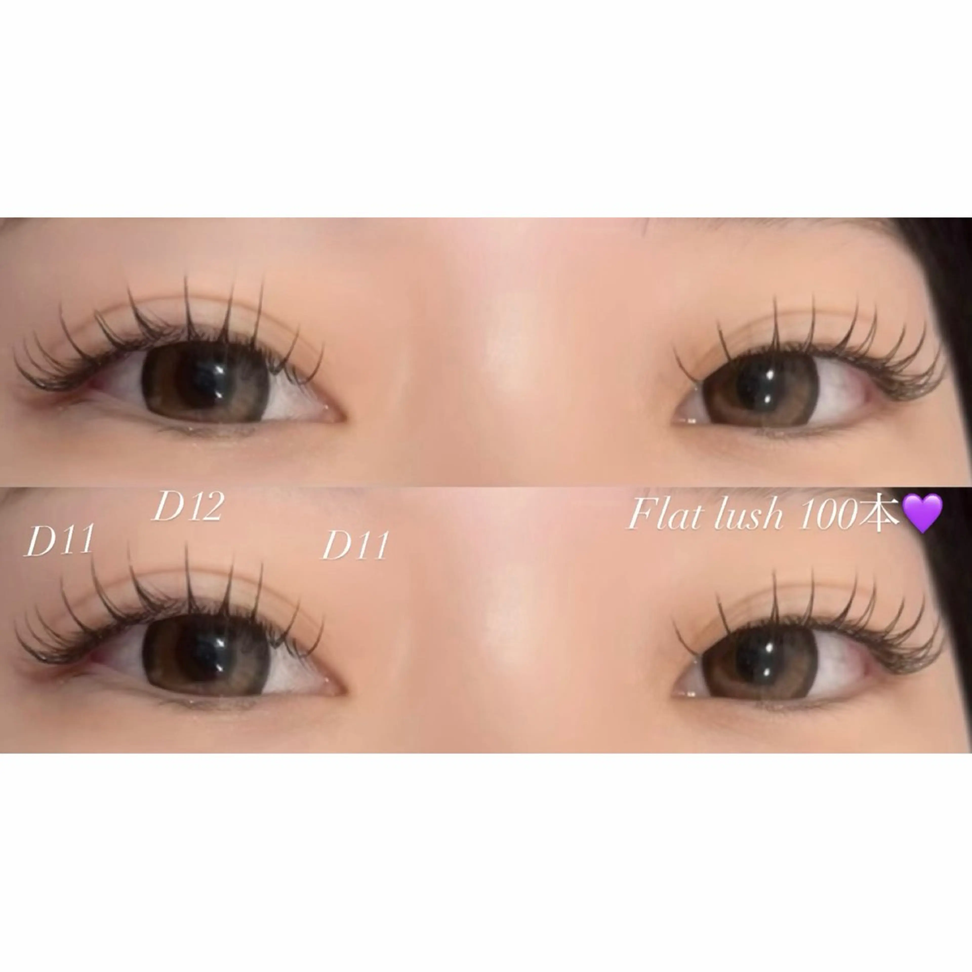 フラットラッシュ 100本 (オフ無し)の写真