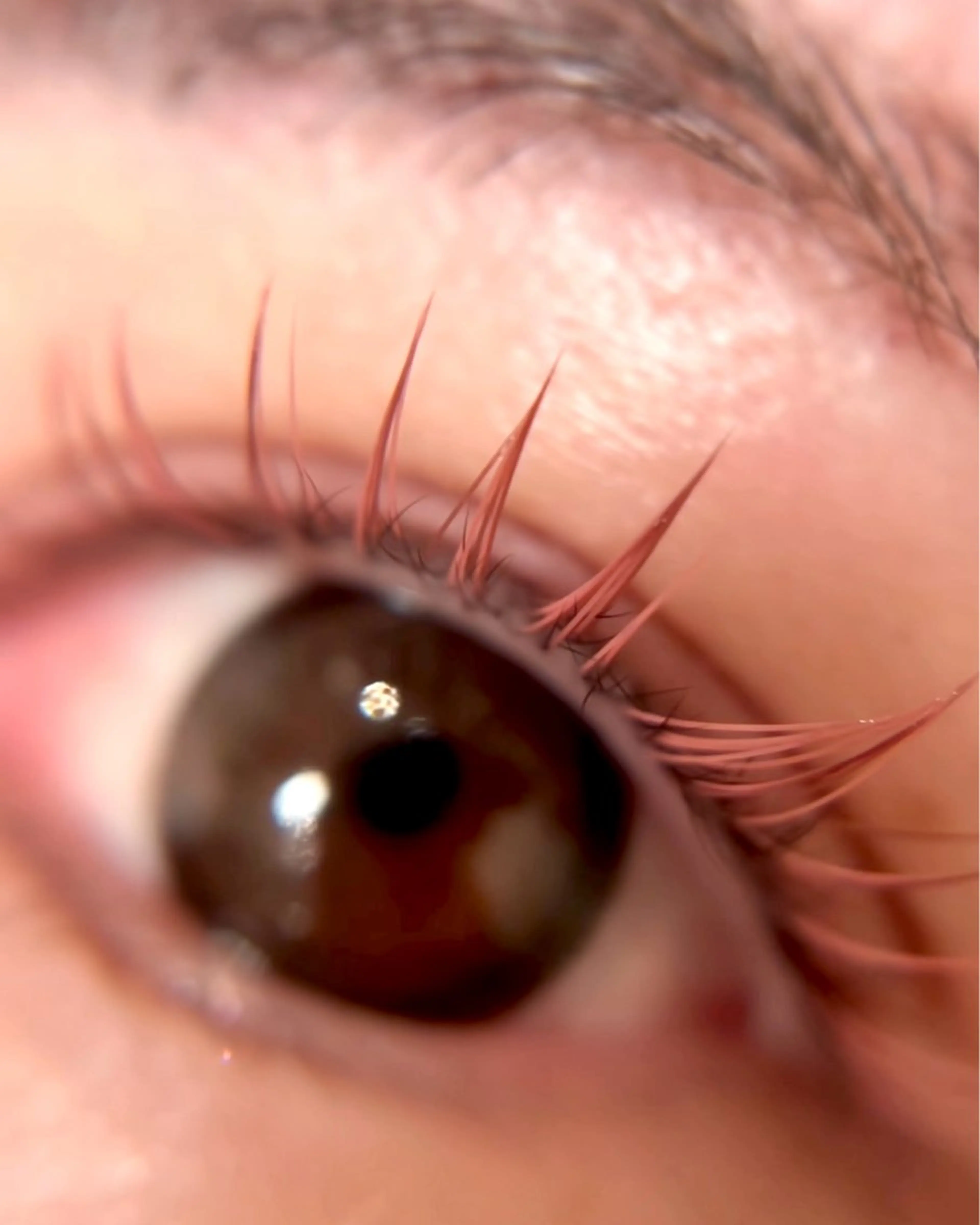 マツエク・マツパ テトのチヒロ .のマツエク・マツパデザイン