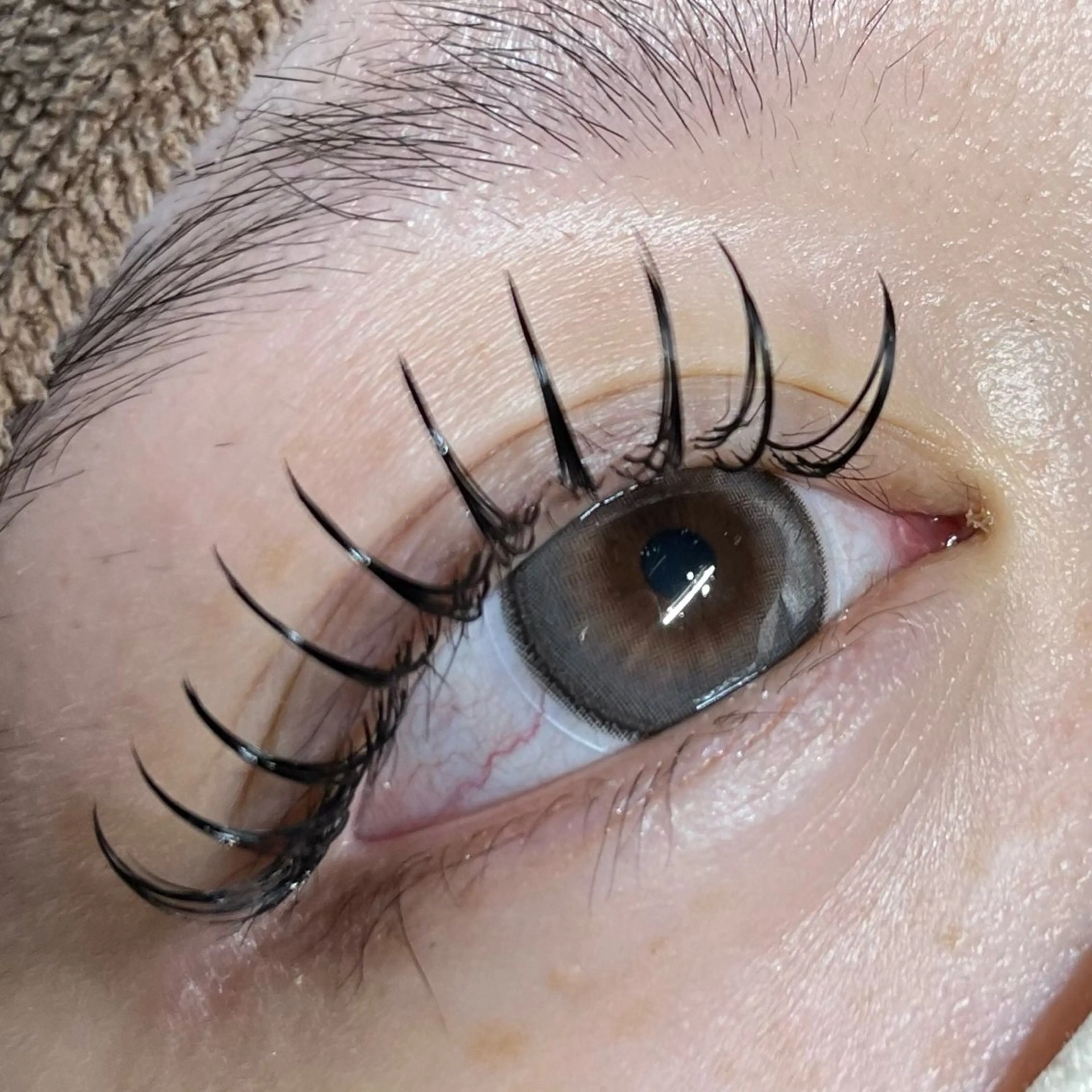 💜オフ込みバインドロック100束の写真