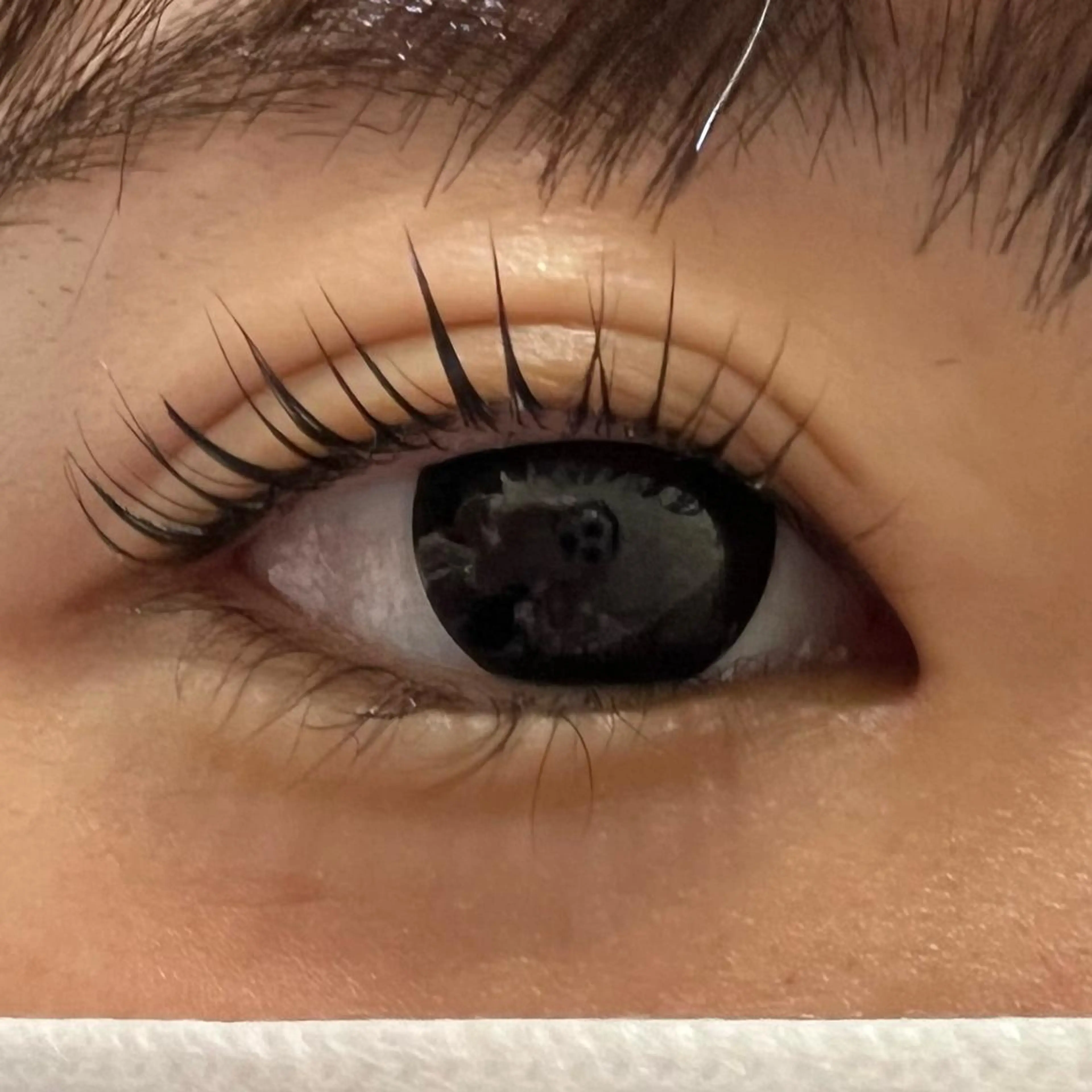 マツエク・マツパ miel中百舌鳥所属・miel yamaguchiの眉毛・アイブロウイメージ