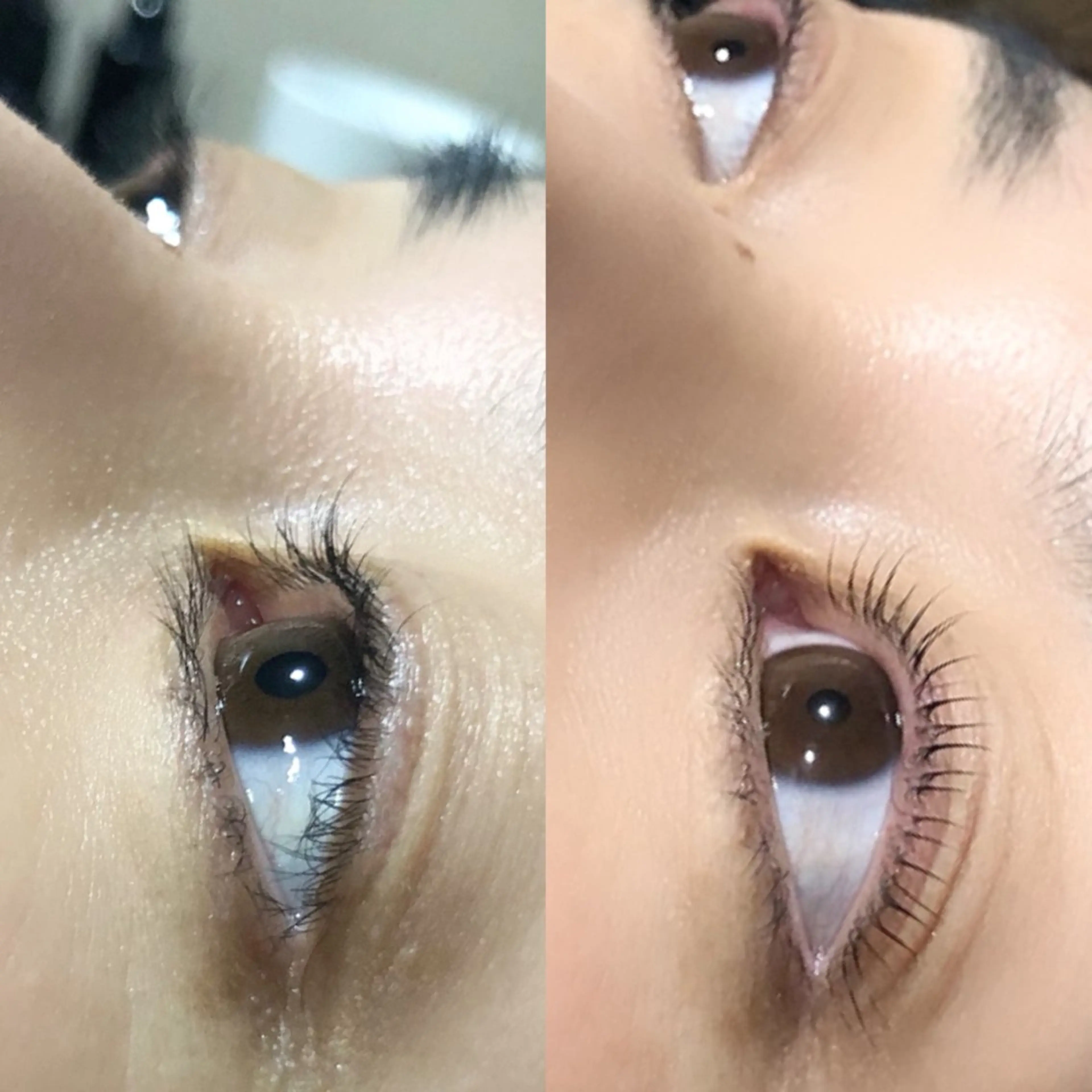 マツエク・マツパ 💛🌼こんどう ひなた🐥⸒のマツエク・マツパデザイン