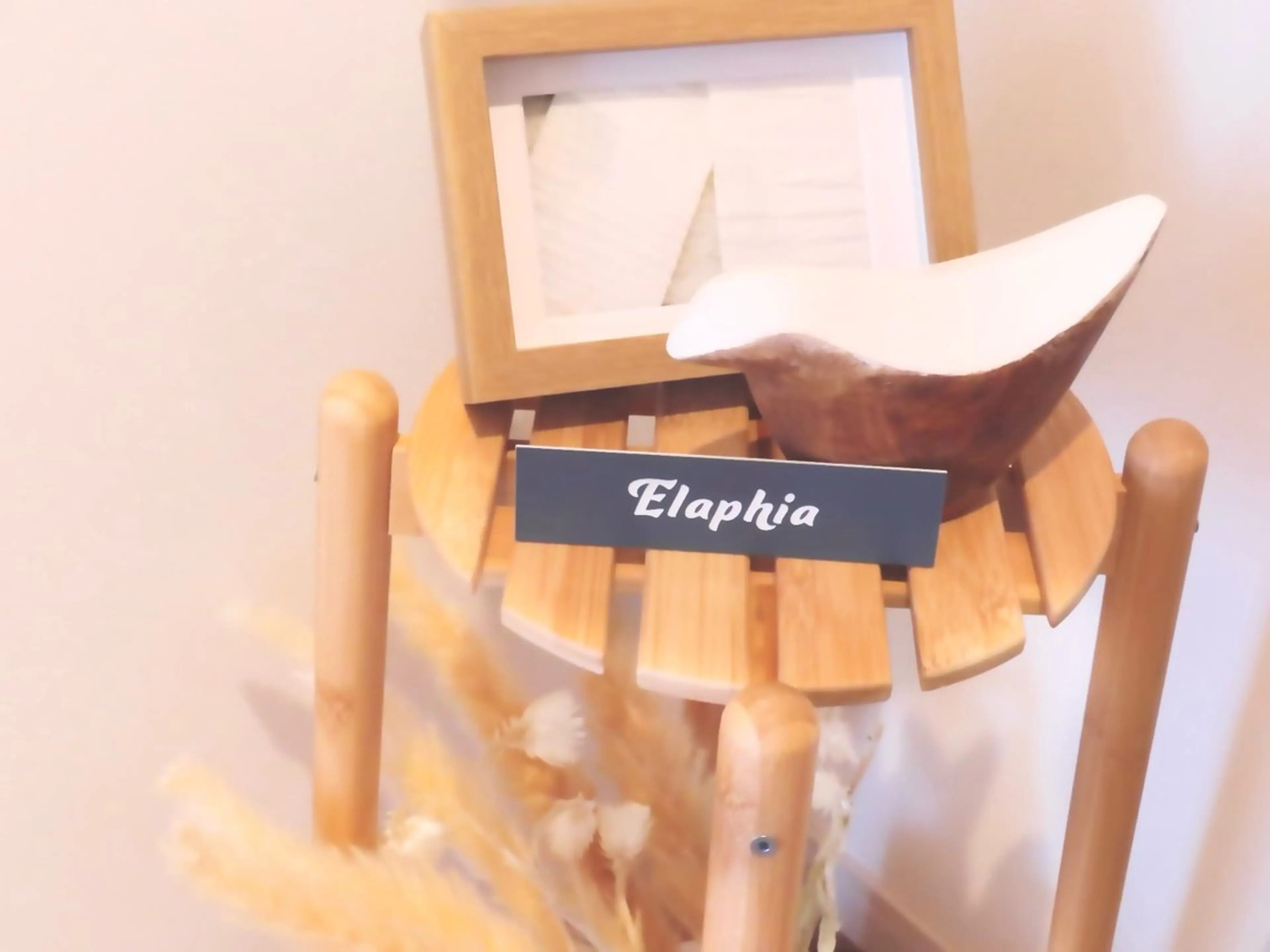 Elaphia所属・プライベートサロン Elaphiaのマツエク・マツパデザイン