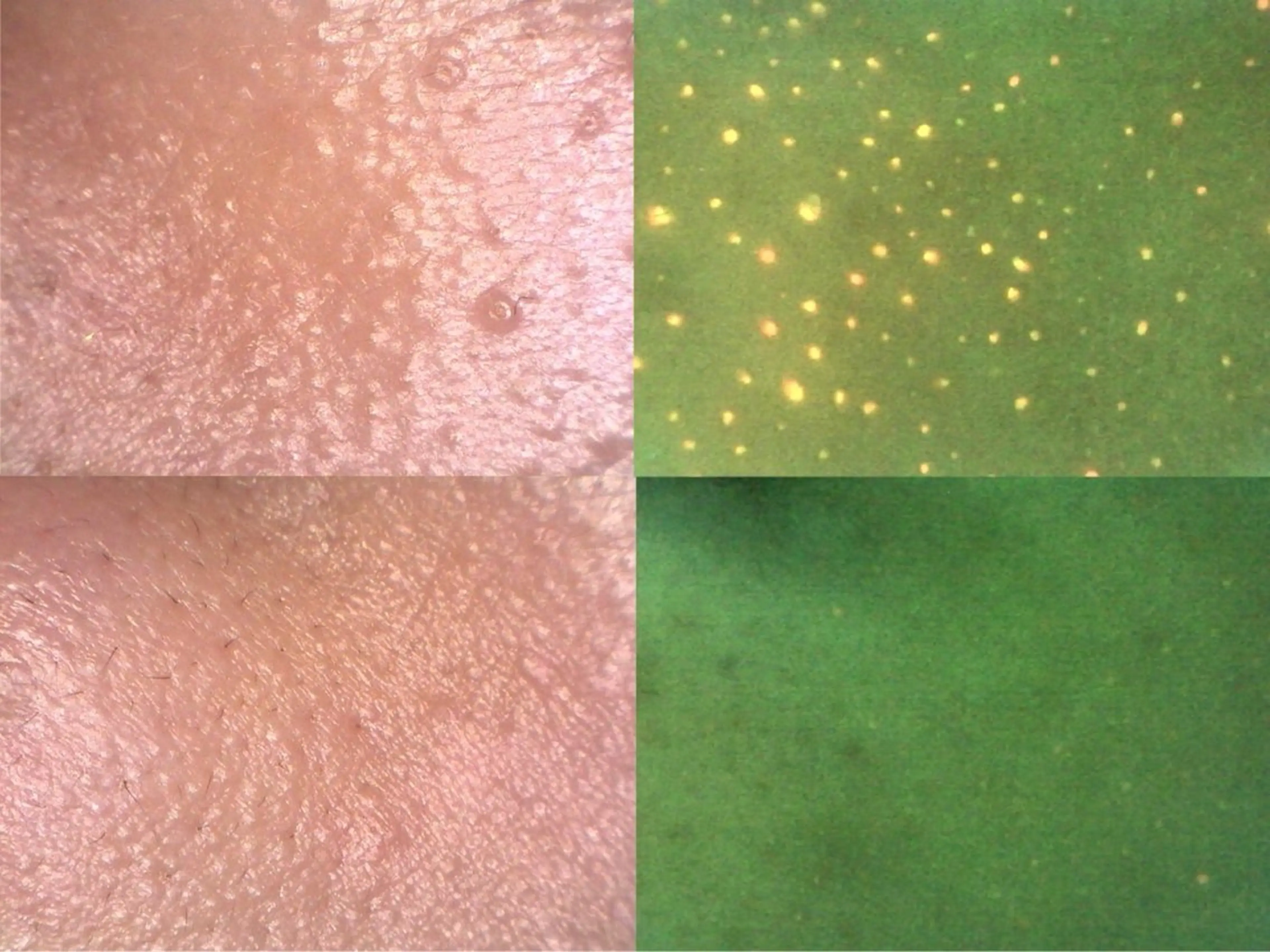 宮本 菜央のエステ・リラクイメージ