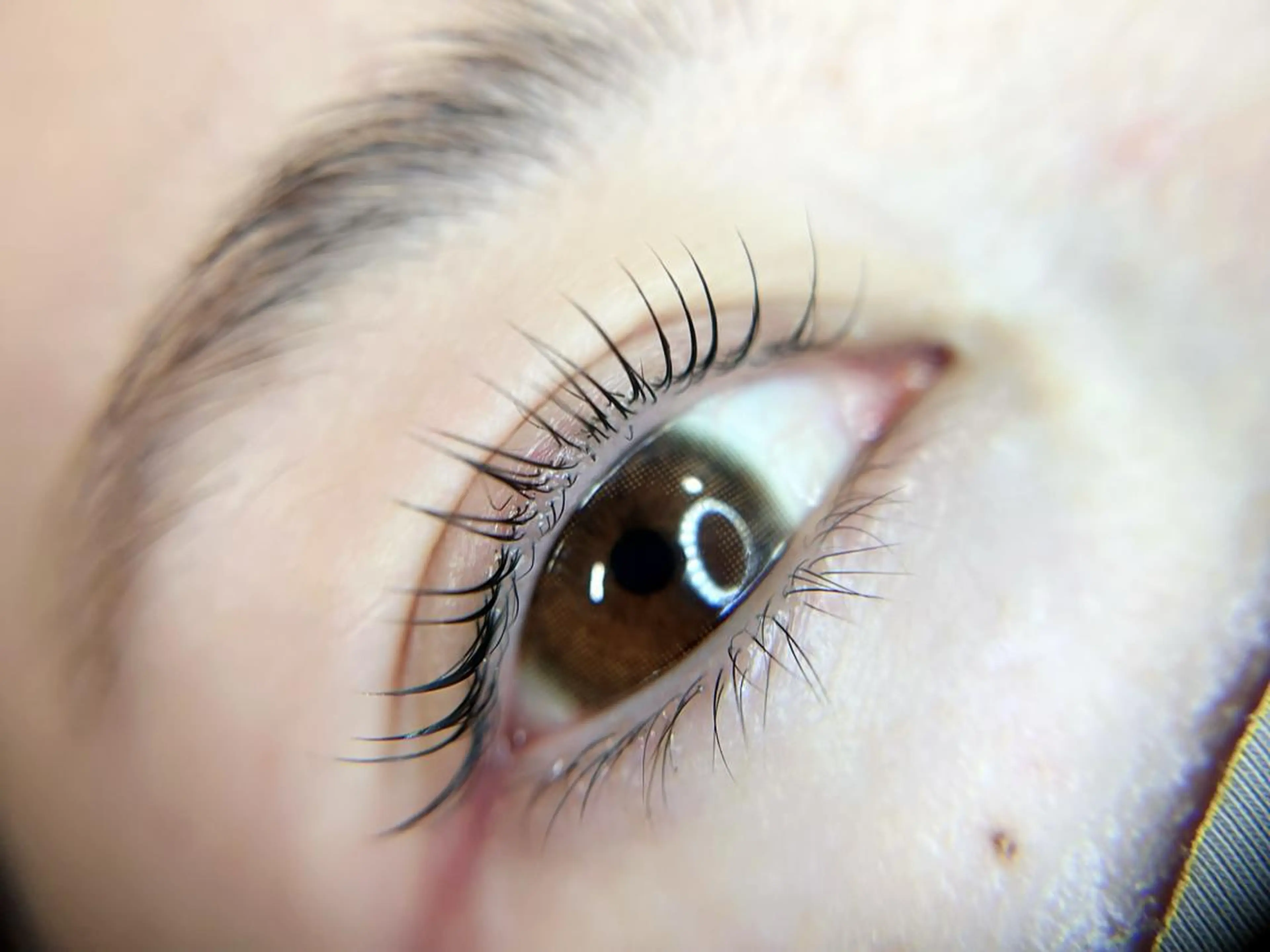 マツエク・マツパ 🌿垢抜けマツパ ×美眉🌙Yuiのマツエク・マツパデザイン