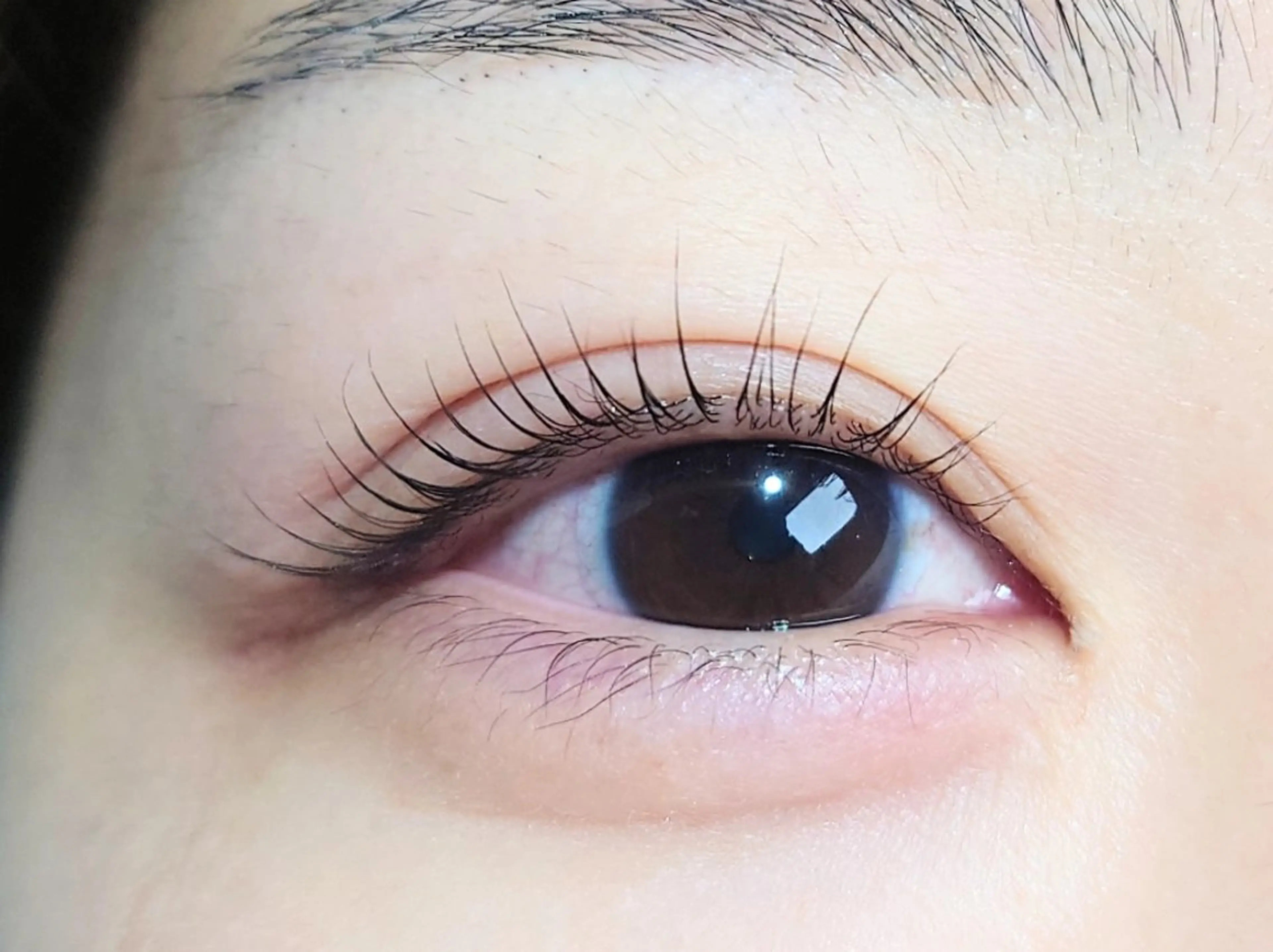 マツエク・マツパ 一重×まつ毛パーマ マツパ joie ange 難波店　斎藤のマツエク・マツパデザイン