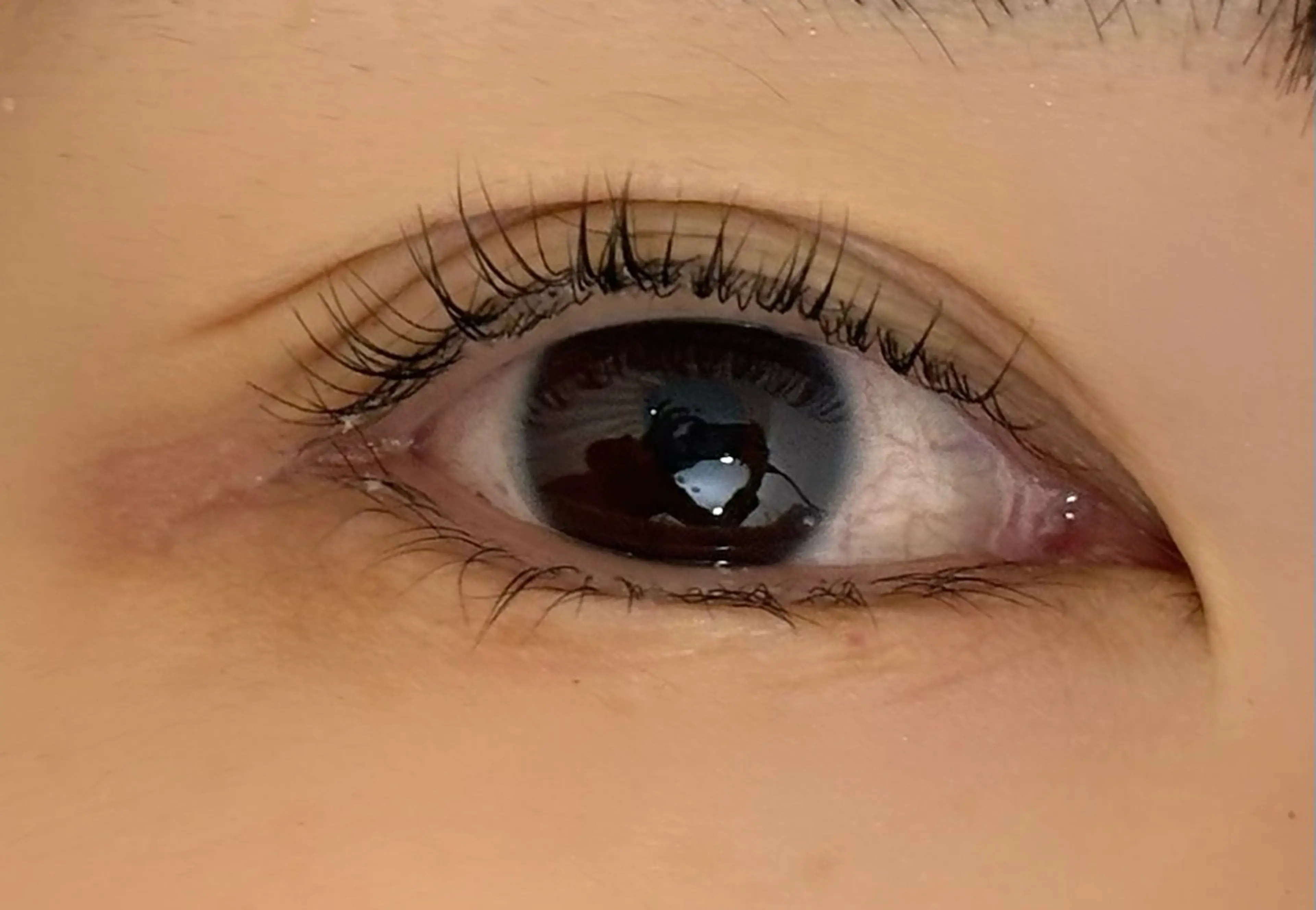 マツエク・マツパ tres AYANEのマツエク・マツパデザイン