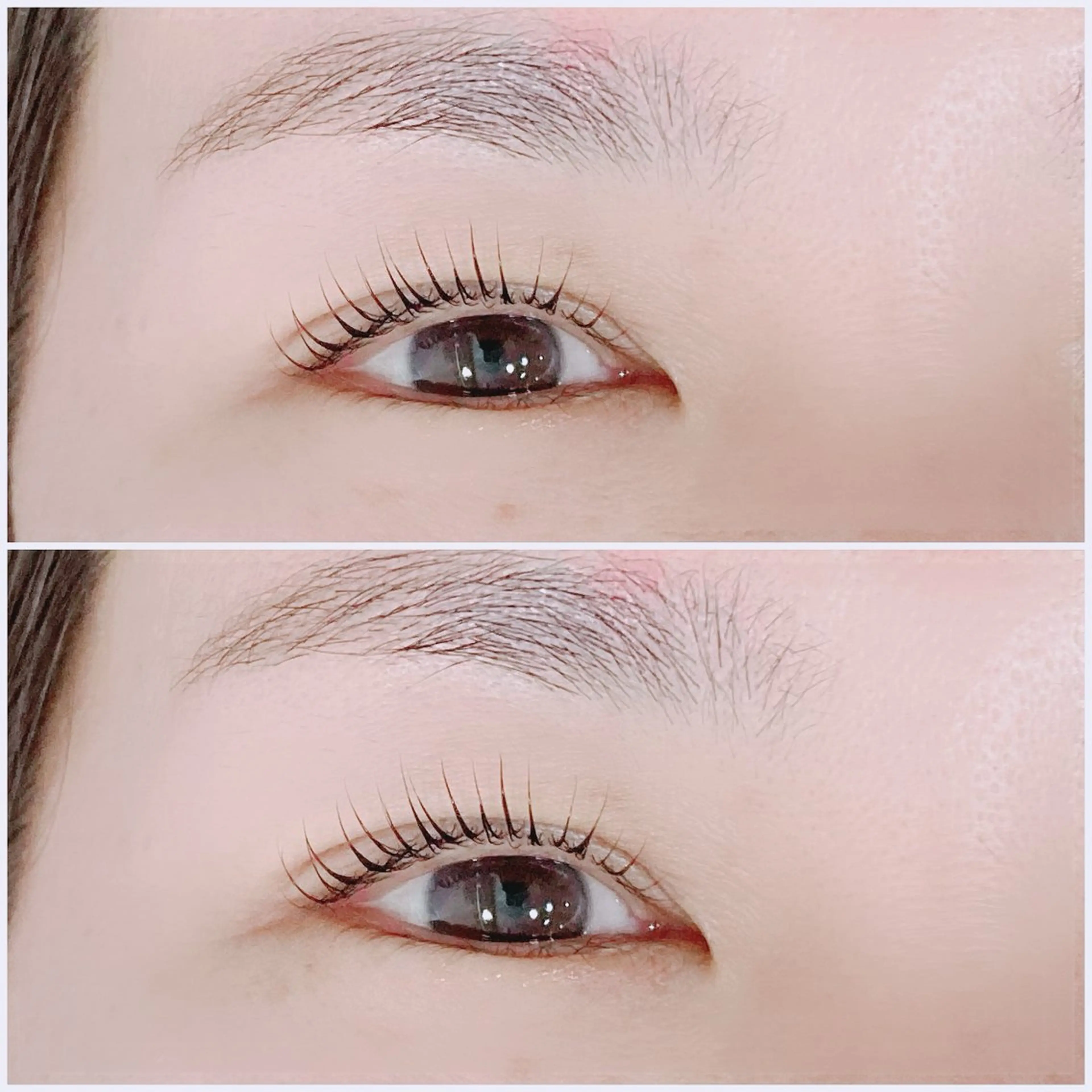 マツエク・マツパ マツパ まつ毛、毛穴ケア 専門サロンPlumeのマツエク・マツパデザイン