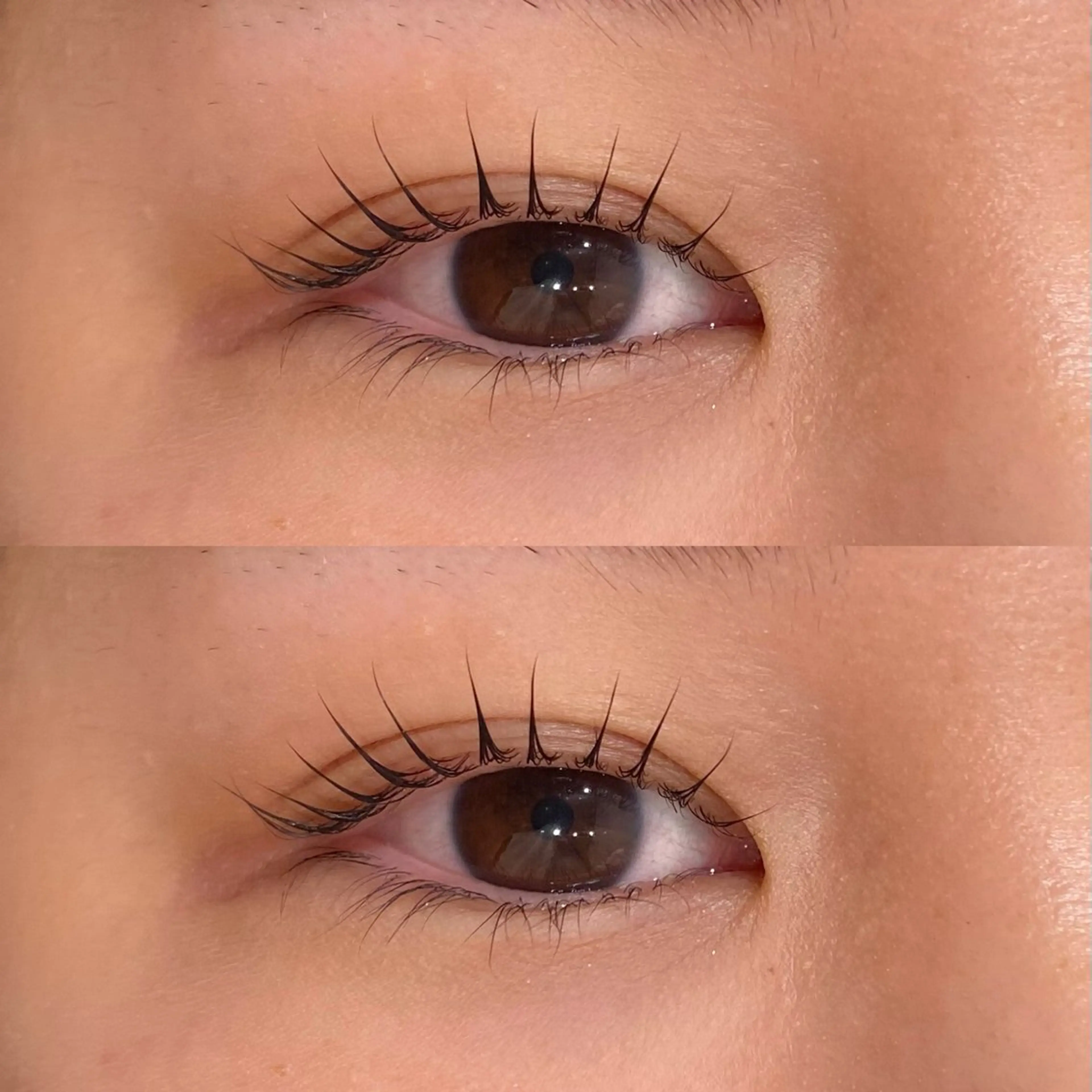 《オススメ》美眉毛ワックス脱毛＋パリジェンヌ🎀（アイシャンプー付き🫧）の写真