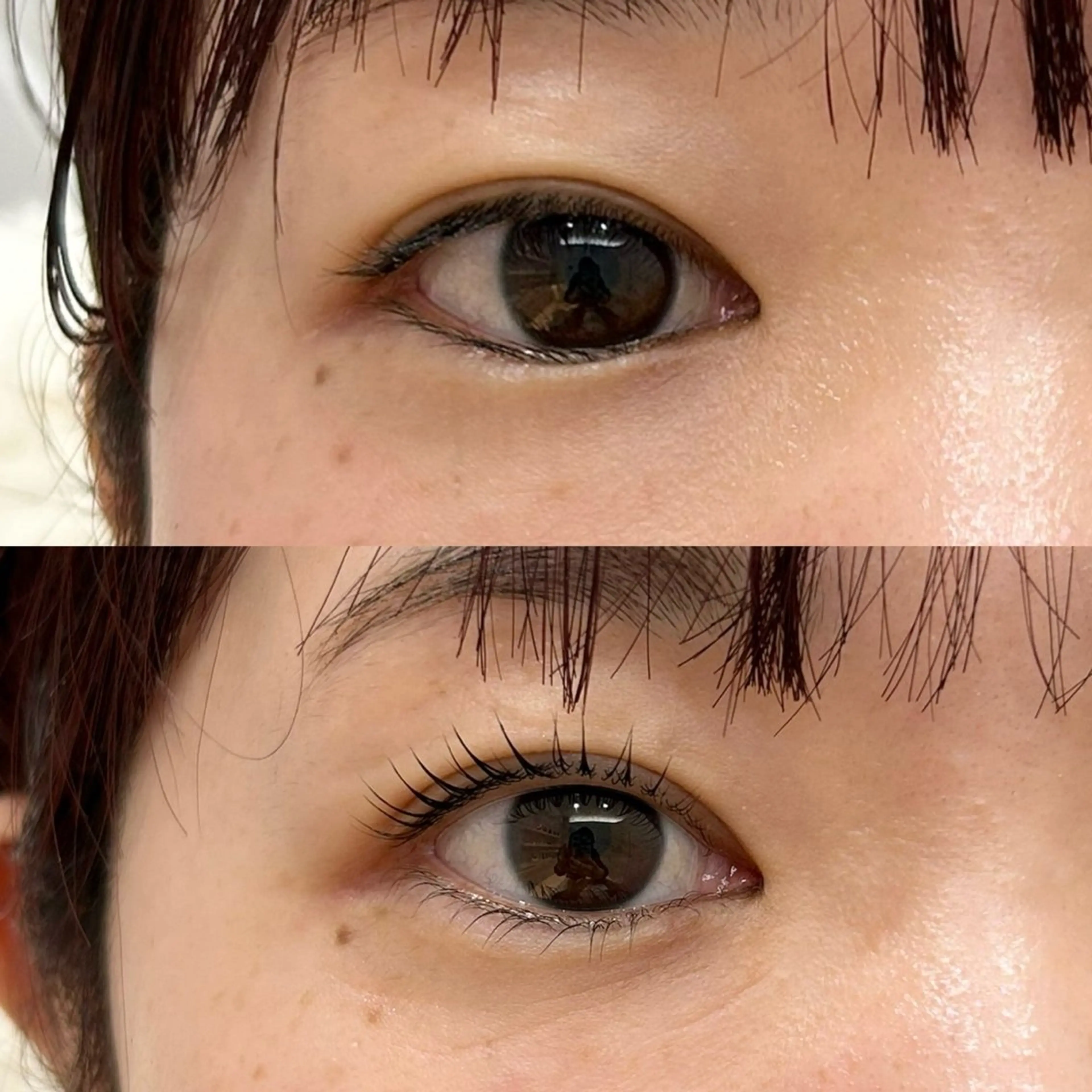 上下ラッシュリフト🎀の写真