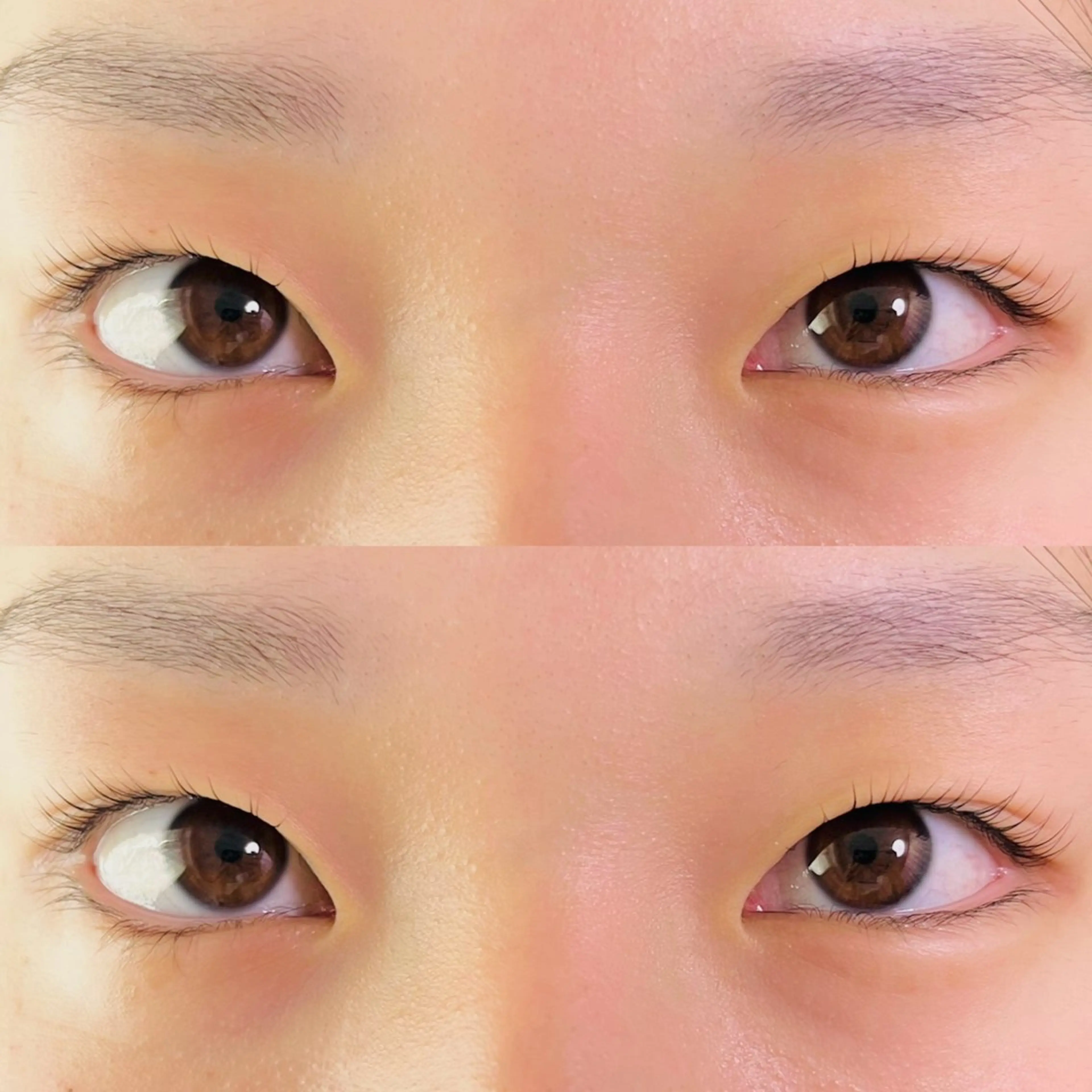 マツエク・マツパ まつげパーマ HERA 【ヘラ】のマツエク・マツパデザイン