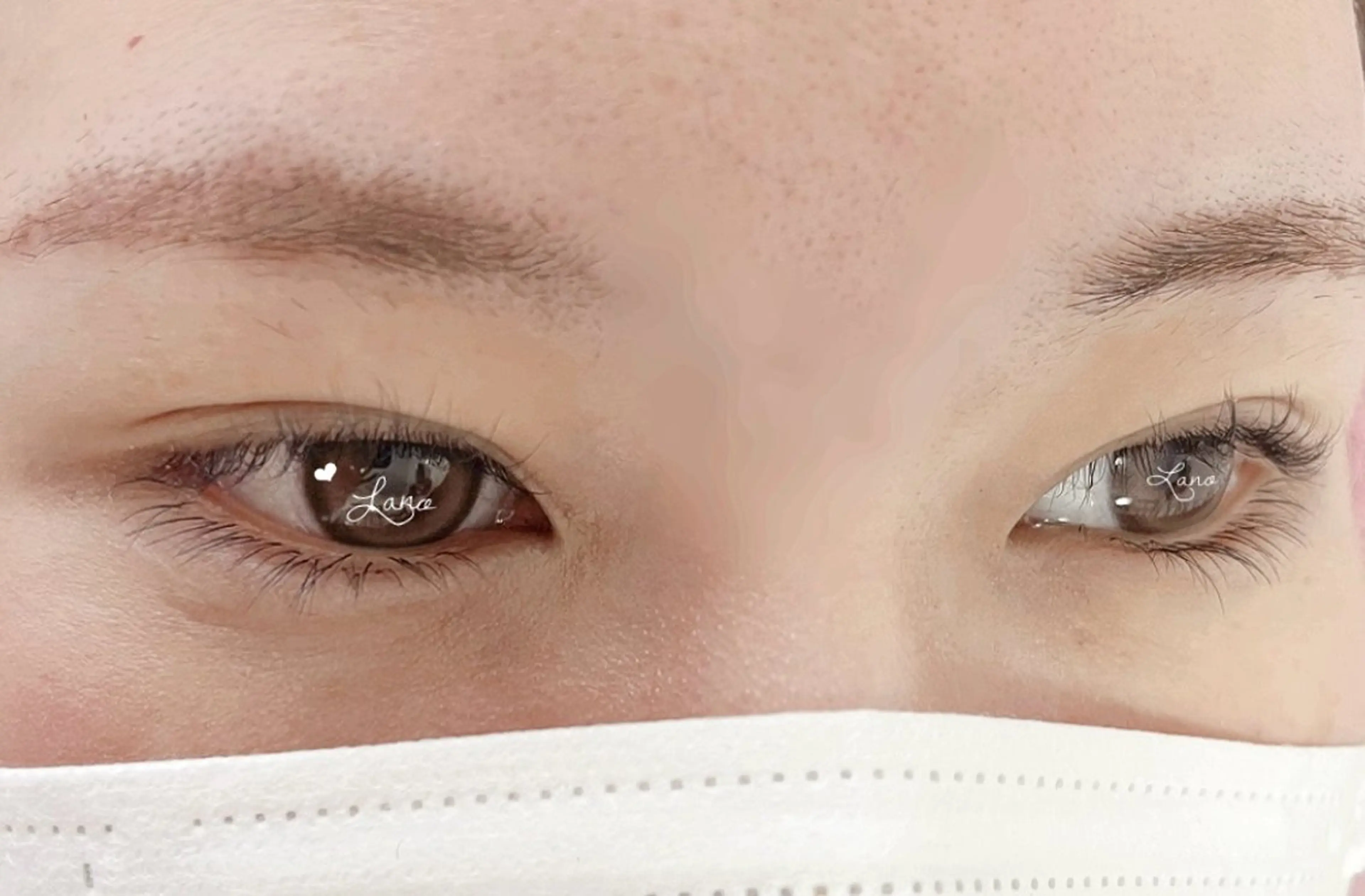 持続力UP🤩バインドロック/ダブルフラット/【下まつ毛のみ】４０束の写真