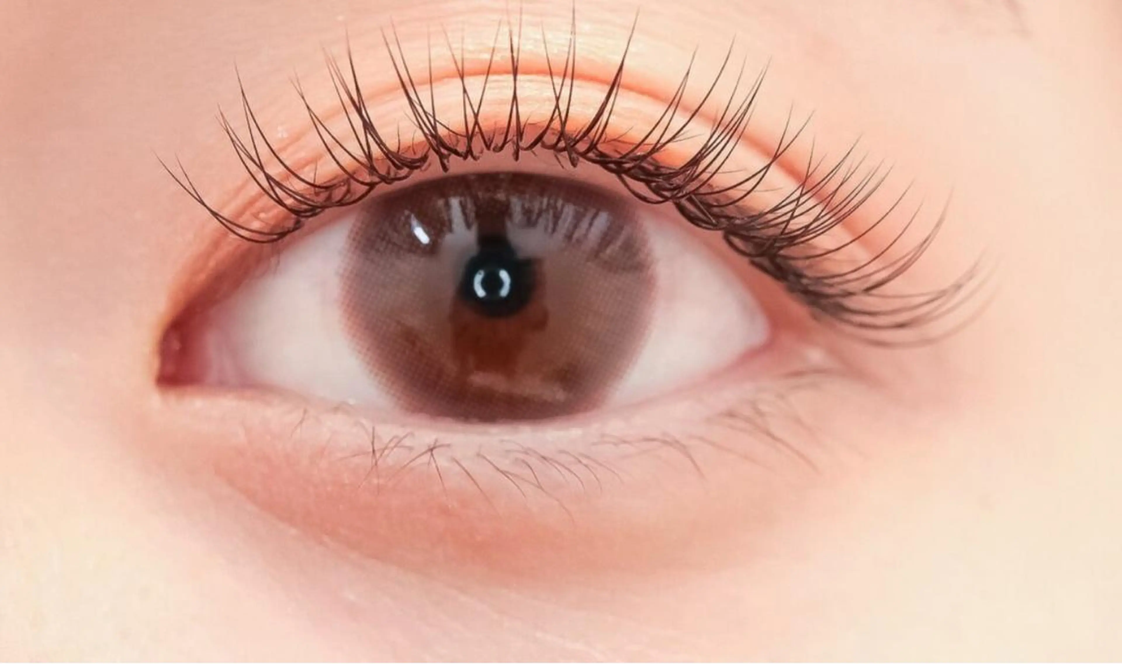 フラットラッシュ100本の写真