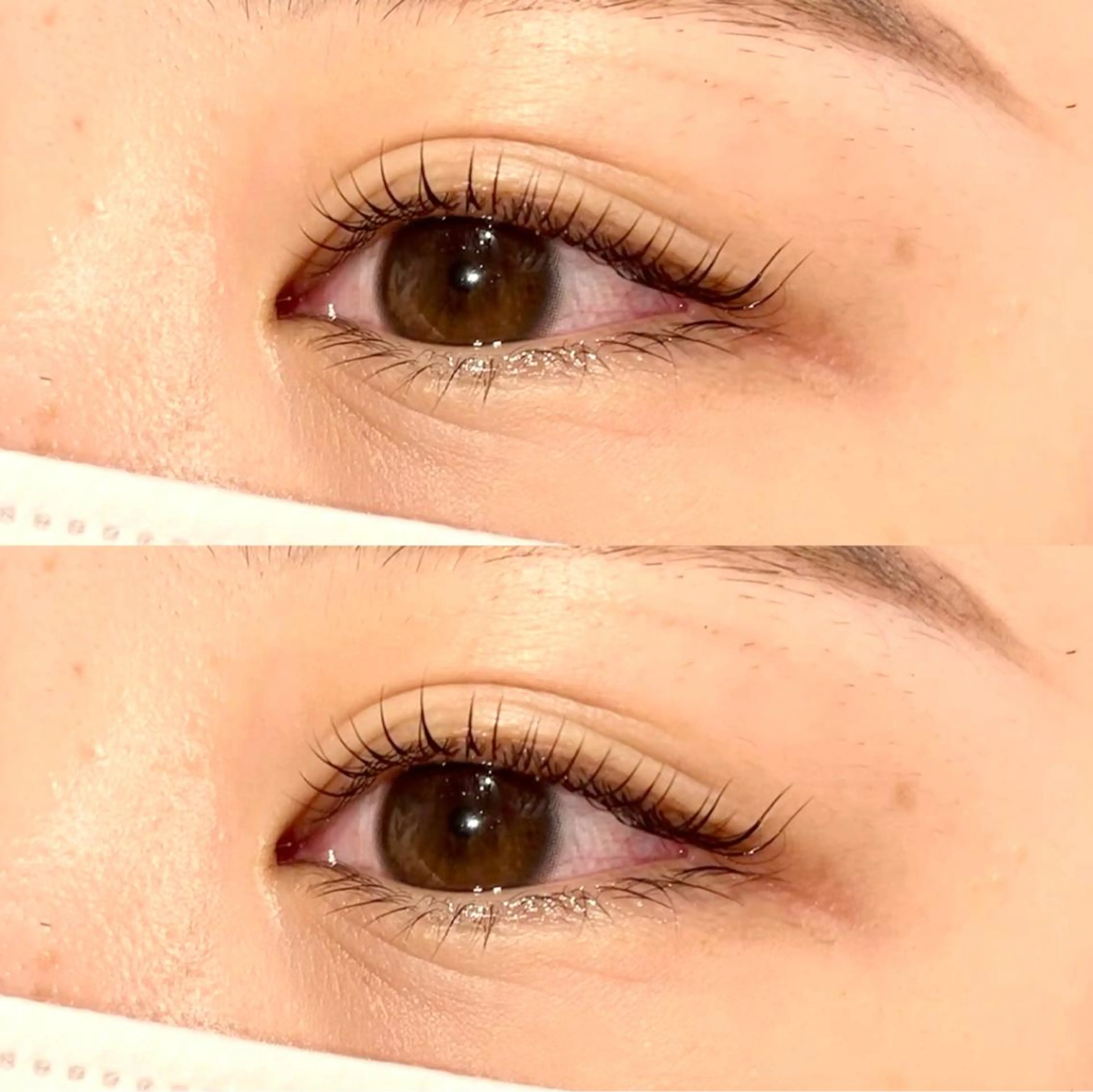 マツエク・マツパ 一重×まつ毛パーマ ◡̈︎eyelist ⑅︎Reinaのマツエク・マツパデザイン