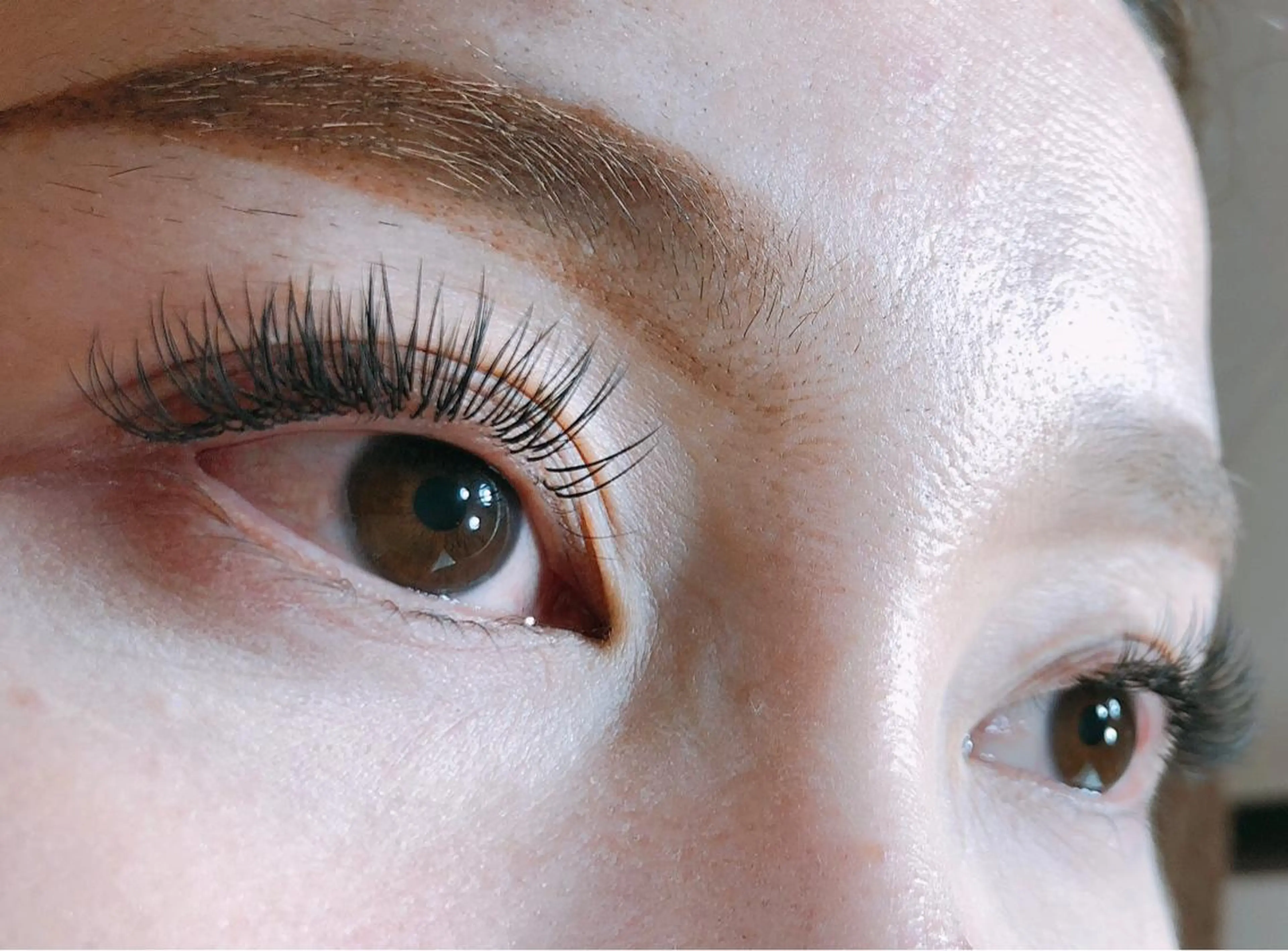 マツエク・マツパ フラットラッシュ マツエク Calin カランのマツエク・マツパデザイン