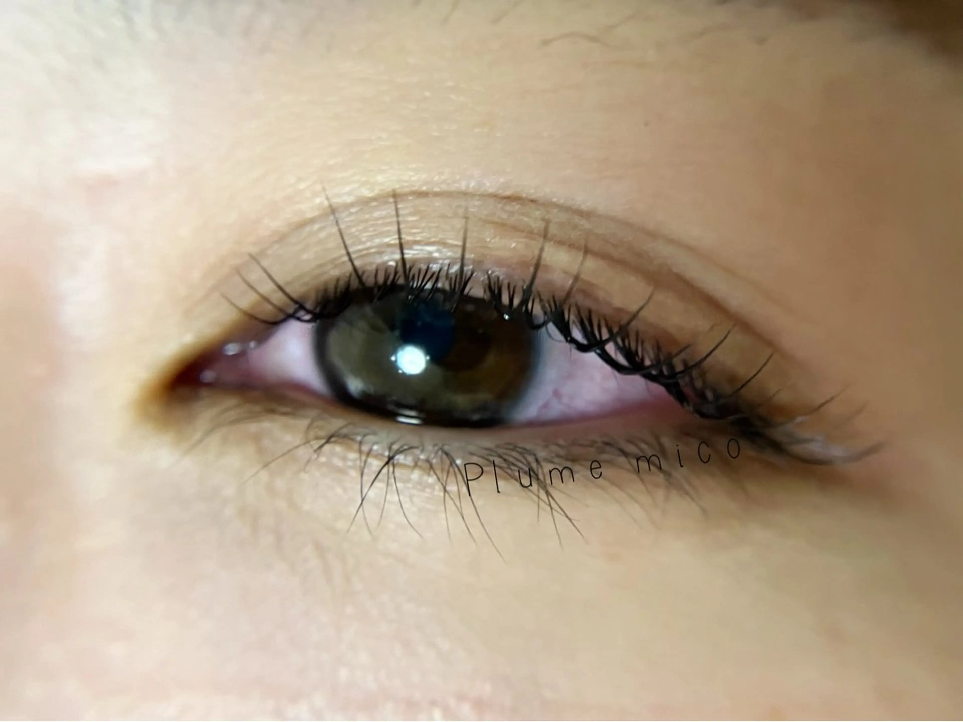 マツエク・マツパ マツパ Plume micoのマツエク・マツパデザイン