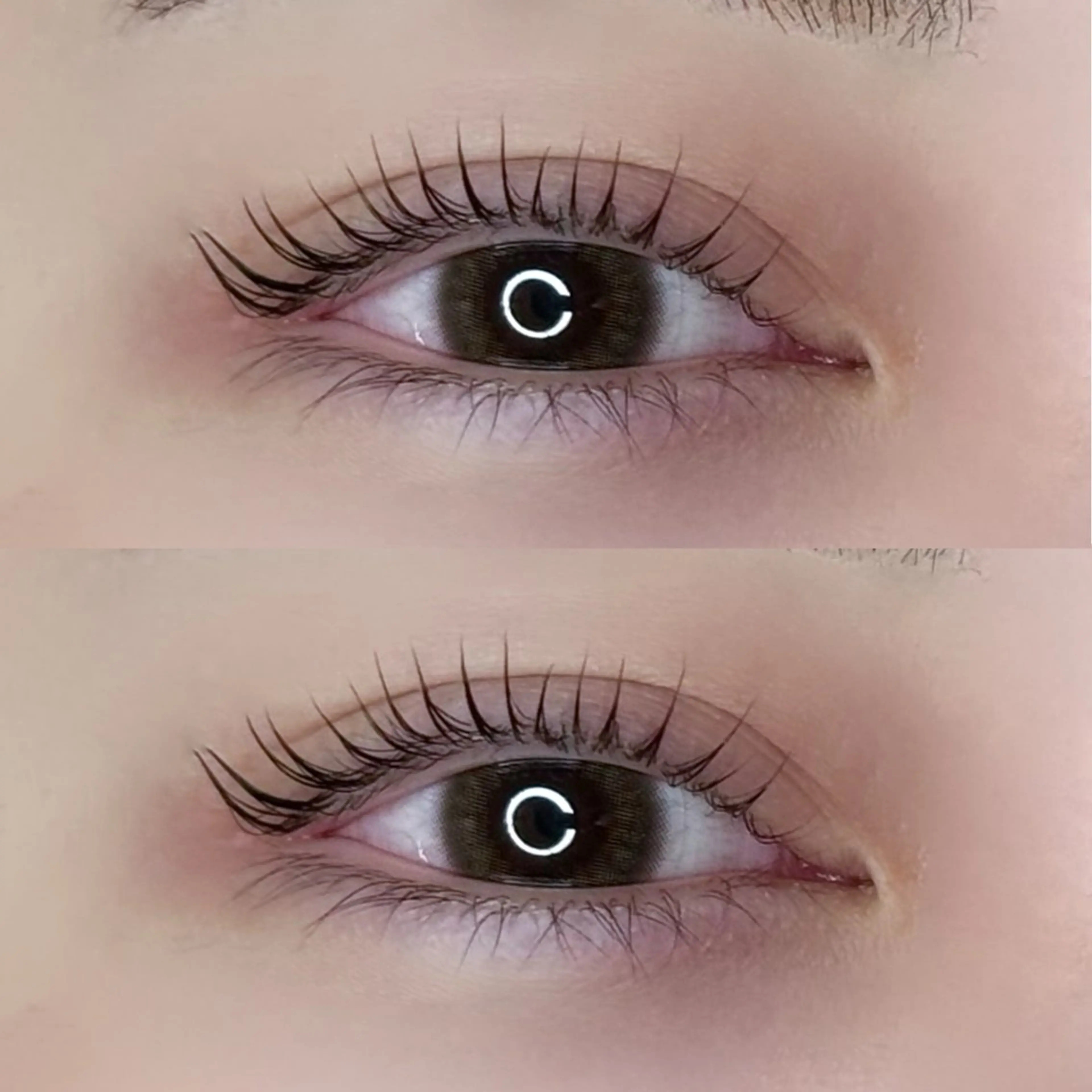 【パリジェンヌラッシュリフト🎀ྀི】♡2stepトリートメント+アイシャンプー付き🫧の写真
