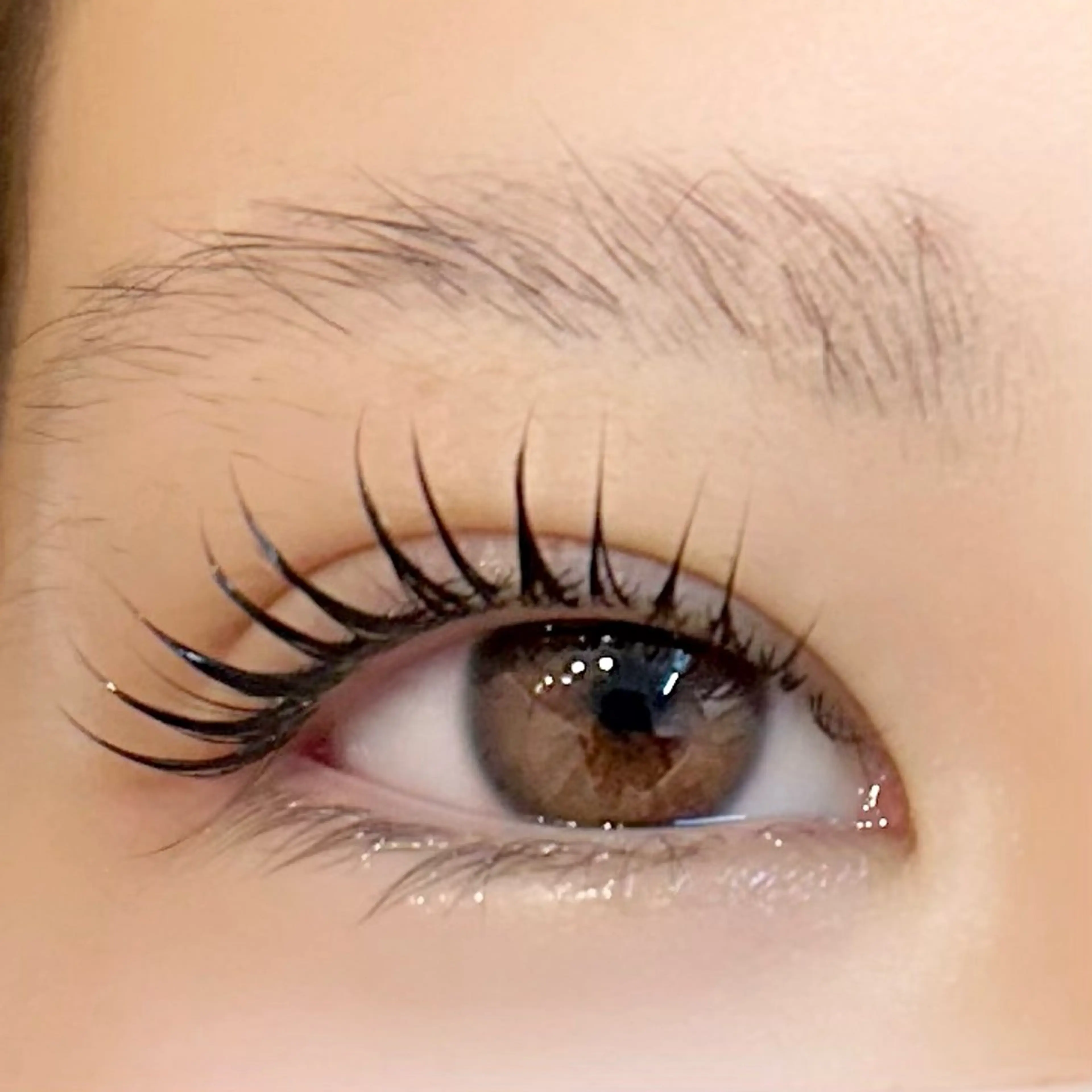 マツエク・マツパ eyelash&eyebrow Luminous所属・Luminous まつげ&眉毛 専門店のマツエク・マツパデザイン