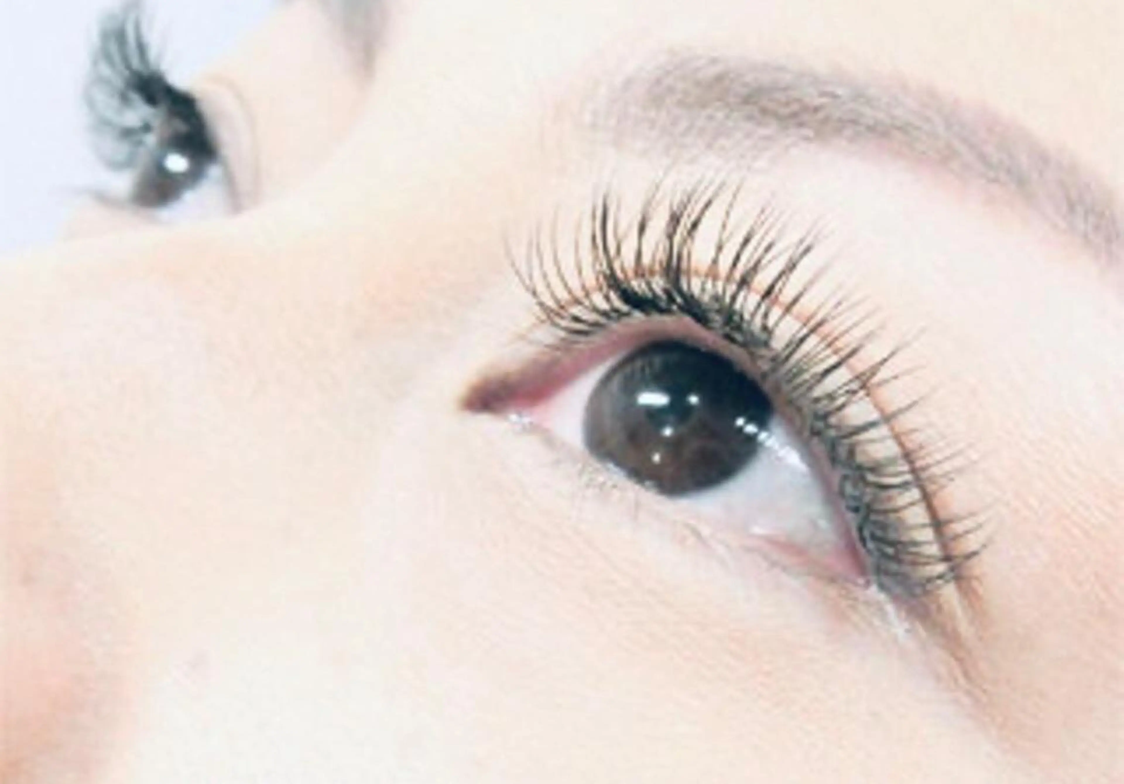 マツエク・マツパ 🌹ブリランテ🌹 大人気店のマツエク・マツパデザイン