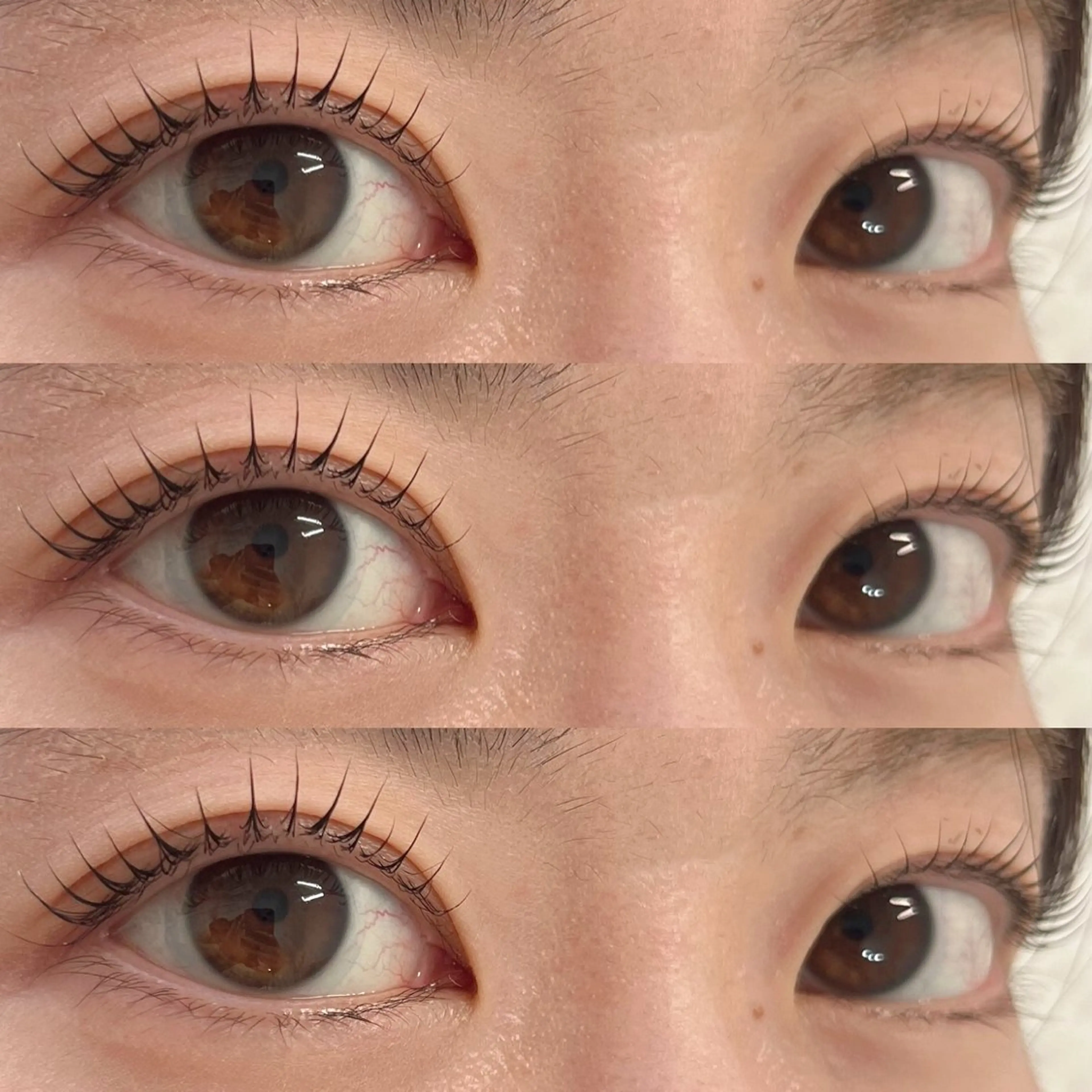 (上下パーマ)2STEPケラチントリートメント付ラッシュリフトorパリジェンヌラッシュリフト♡彡の写真